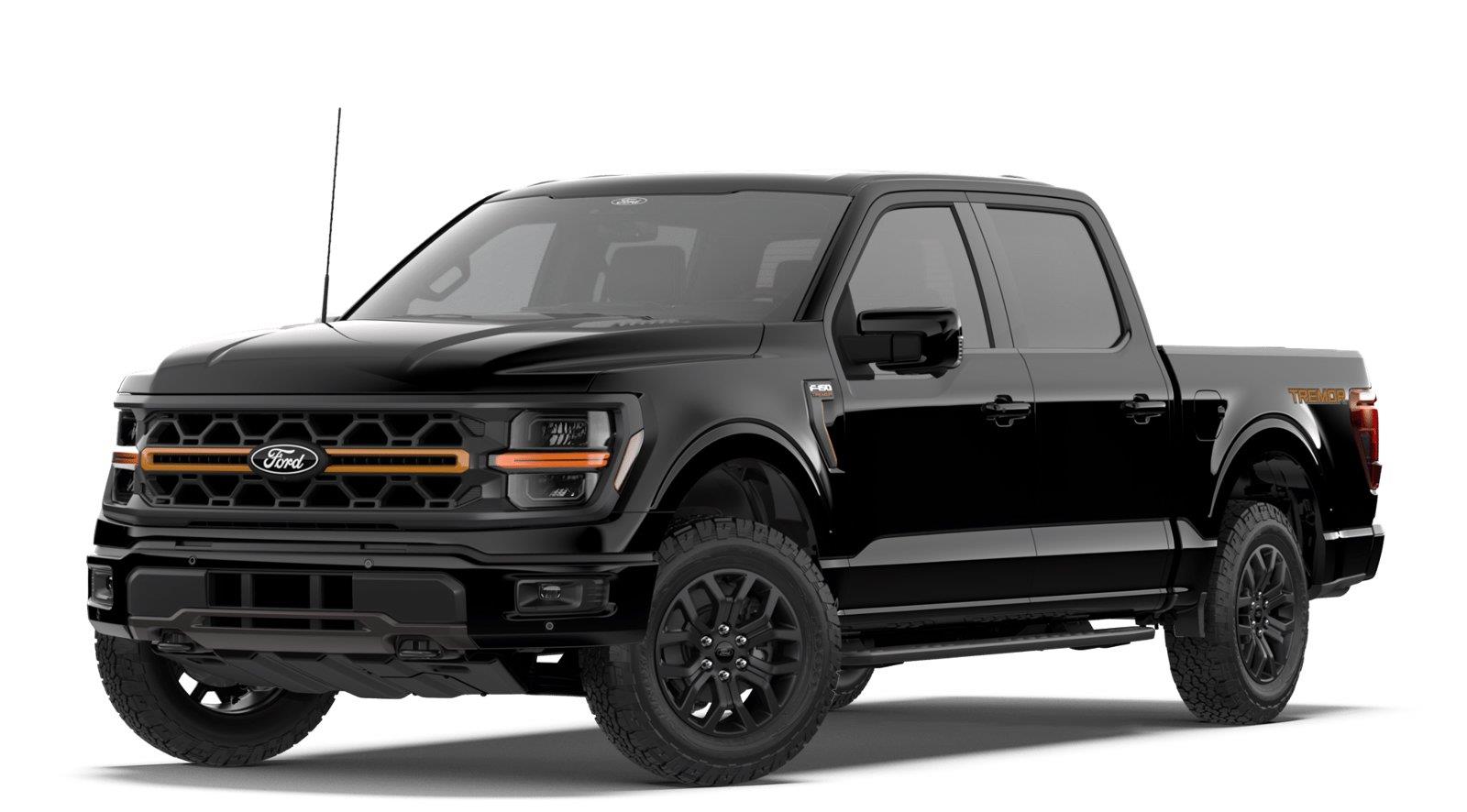 Agate Black 2026 Ford F-150 Pickup Truck Four-Wheel Drive Automatic