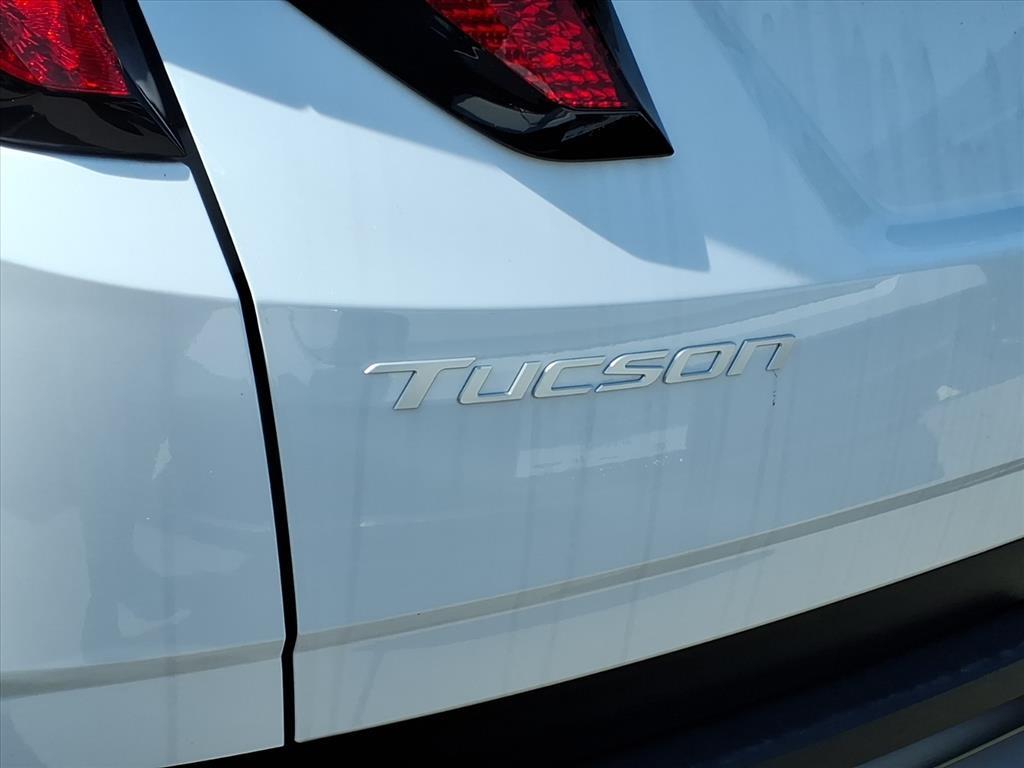 Used 2026 Serenity White Pearl Hyundai SEL image 29