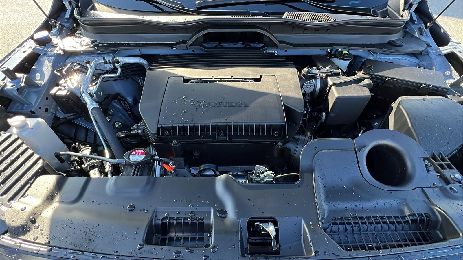2026 Honda Passport TrailSport at Honda North