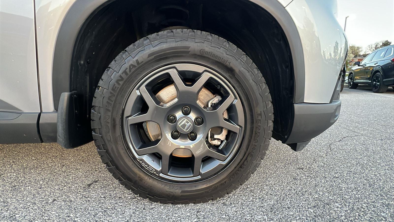 2025 Honda Pilot TrailSport - 10