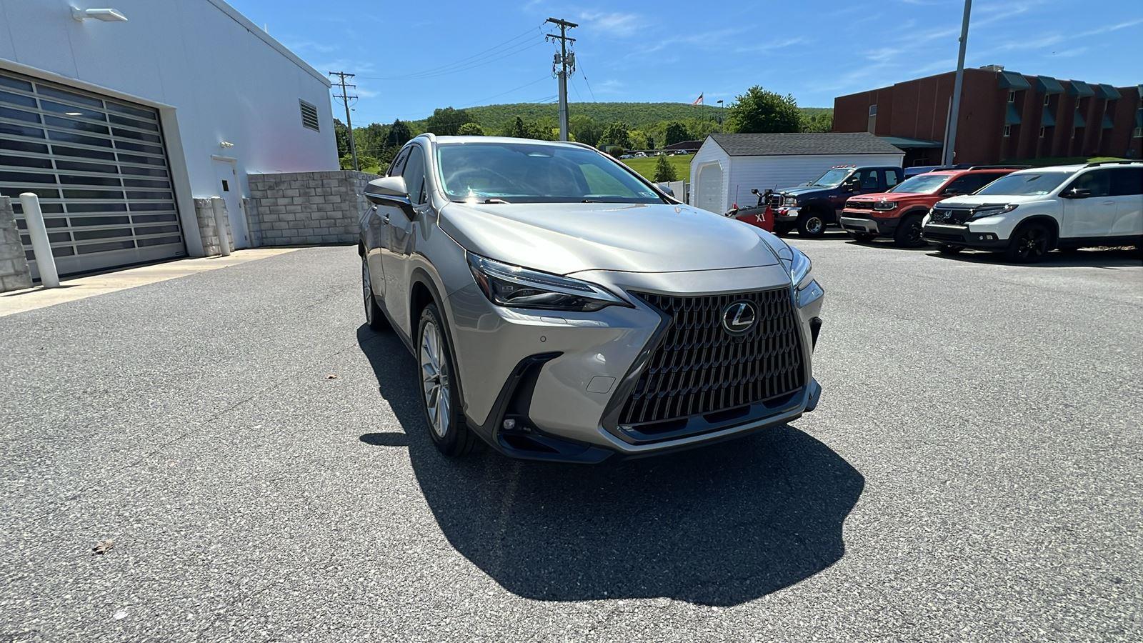 2024 Lexus NX NX 350 Luxury - 1