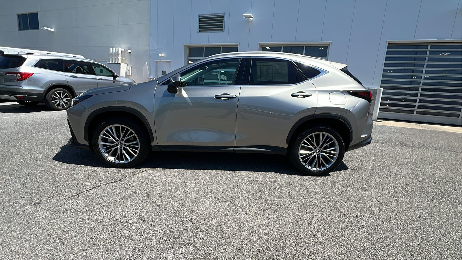 2024 Lexus NX NX 350 Luxury - 6