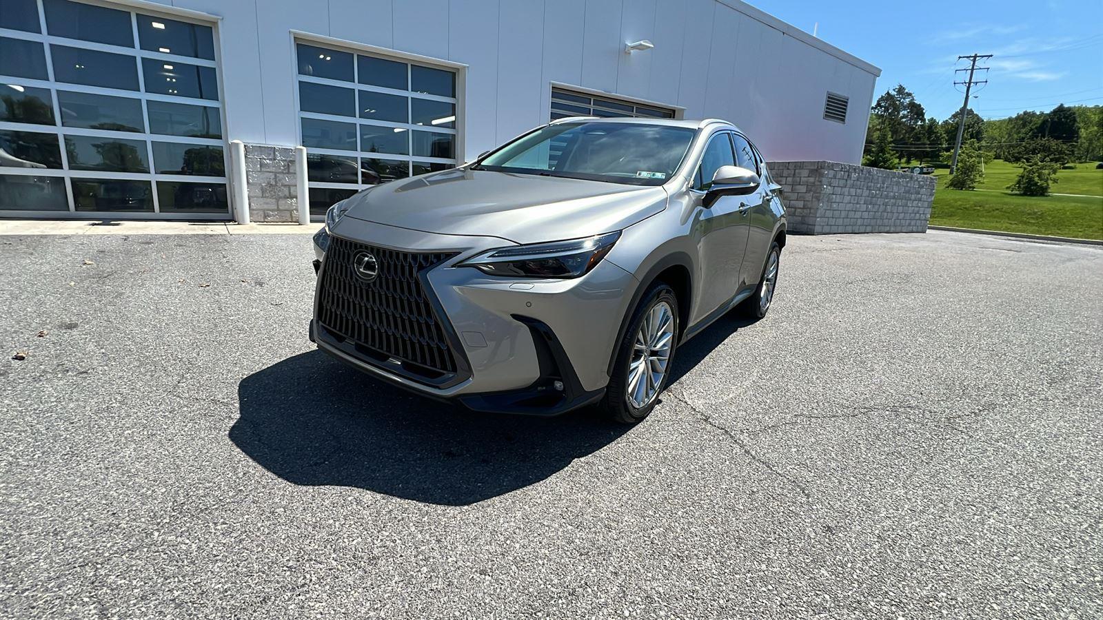 2024 Lexus NX NX 350 Luxury - 7