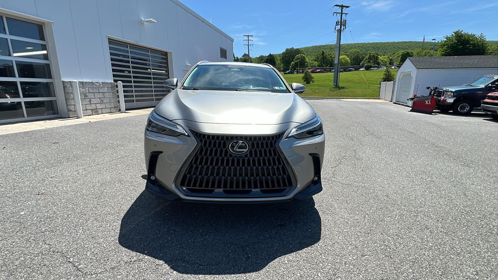 2024 Lexus NX NX 350 Luxury - 8