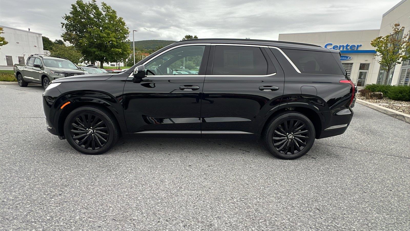2024 Hyundai Palisade Calligraphy Night Edition - 6