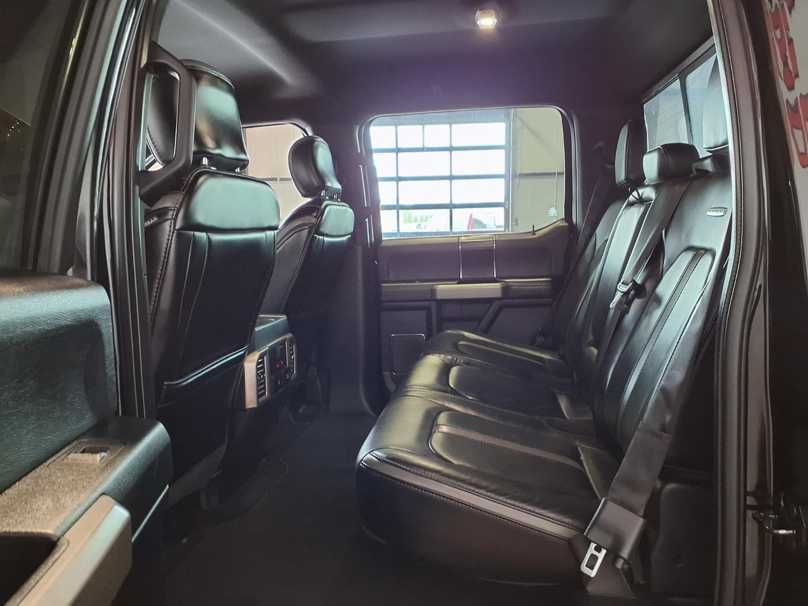 2018 Ford F-150 Platinum - Shadow Black exterior view 14