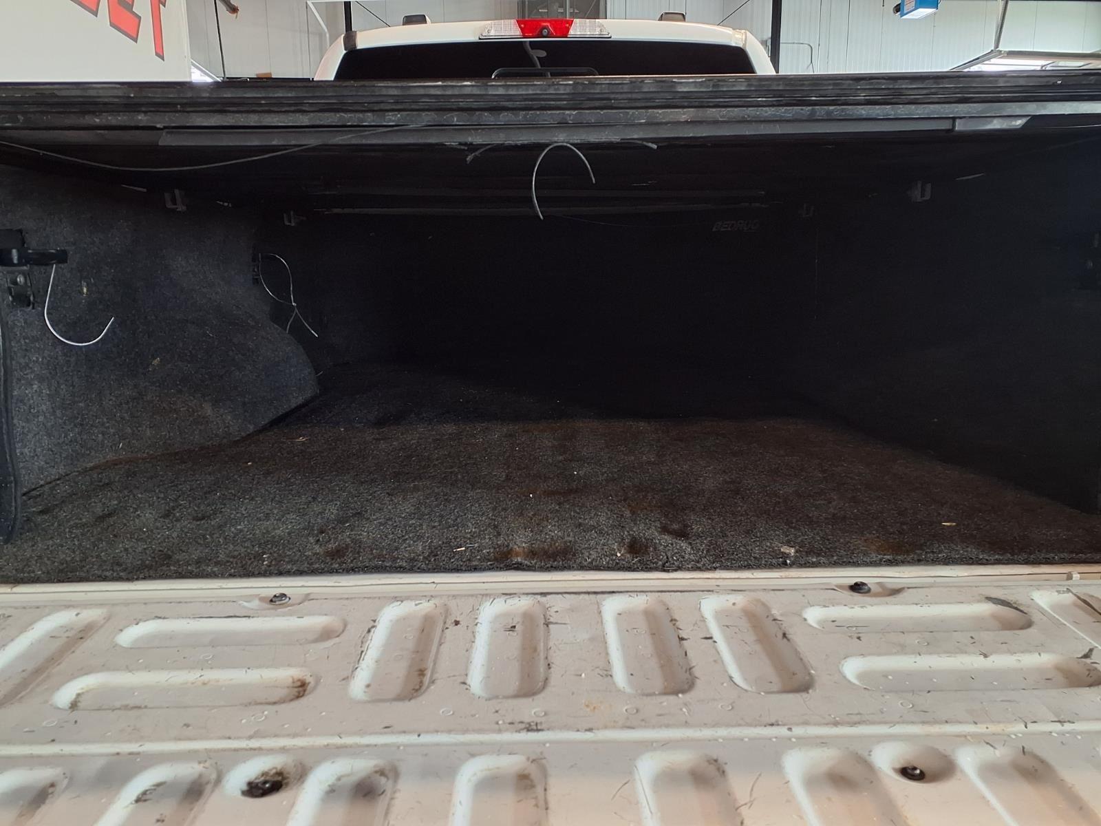 2020 Ford Super Duty F-250 SRW Platinum - Star White Metallic Tri-Coat exterior view 6