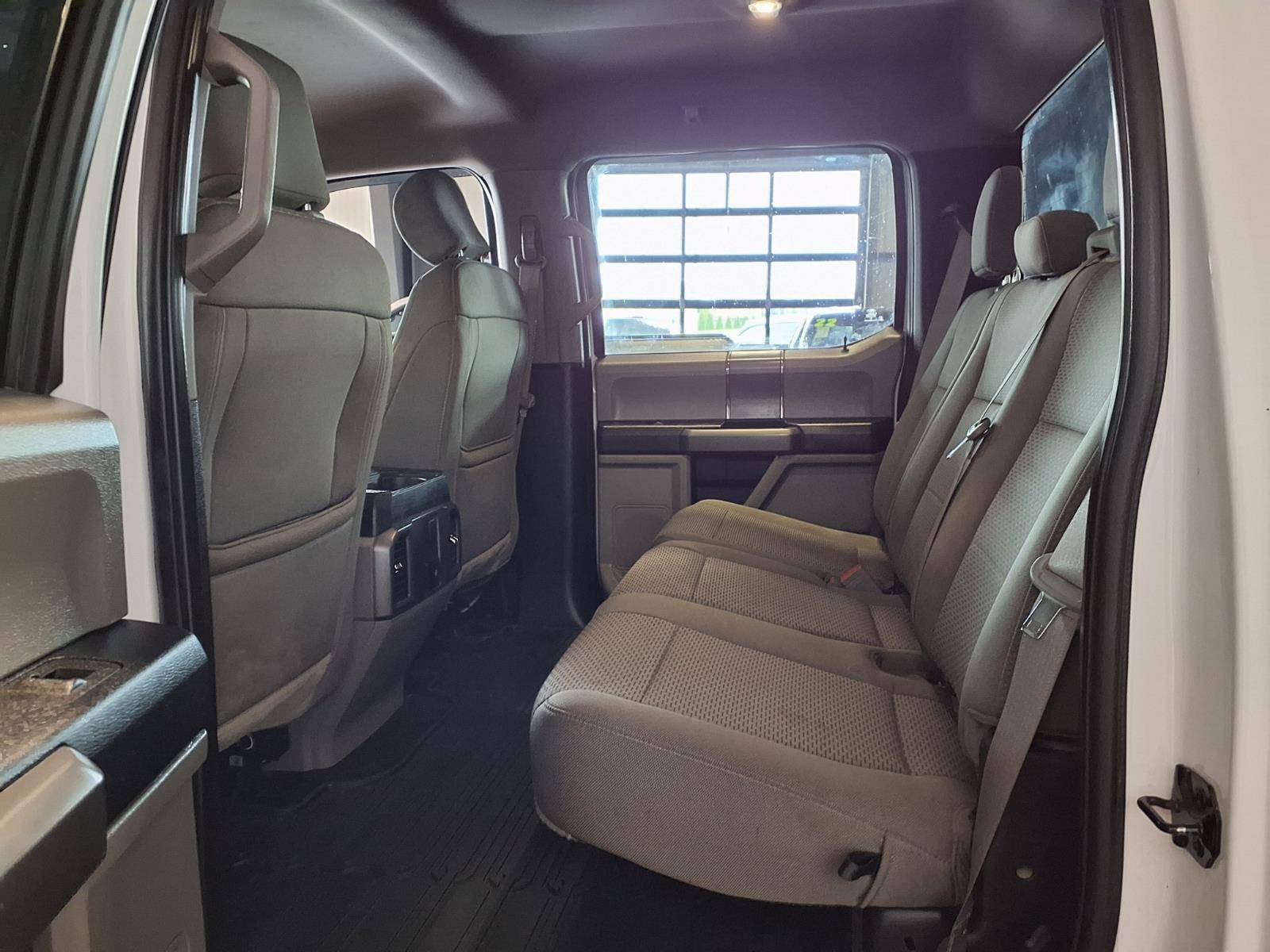 2019 FORD F-150 - WHITE exterior view 13