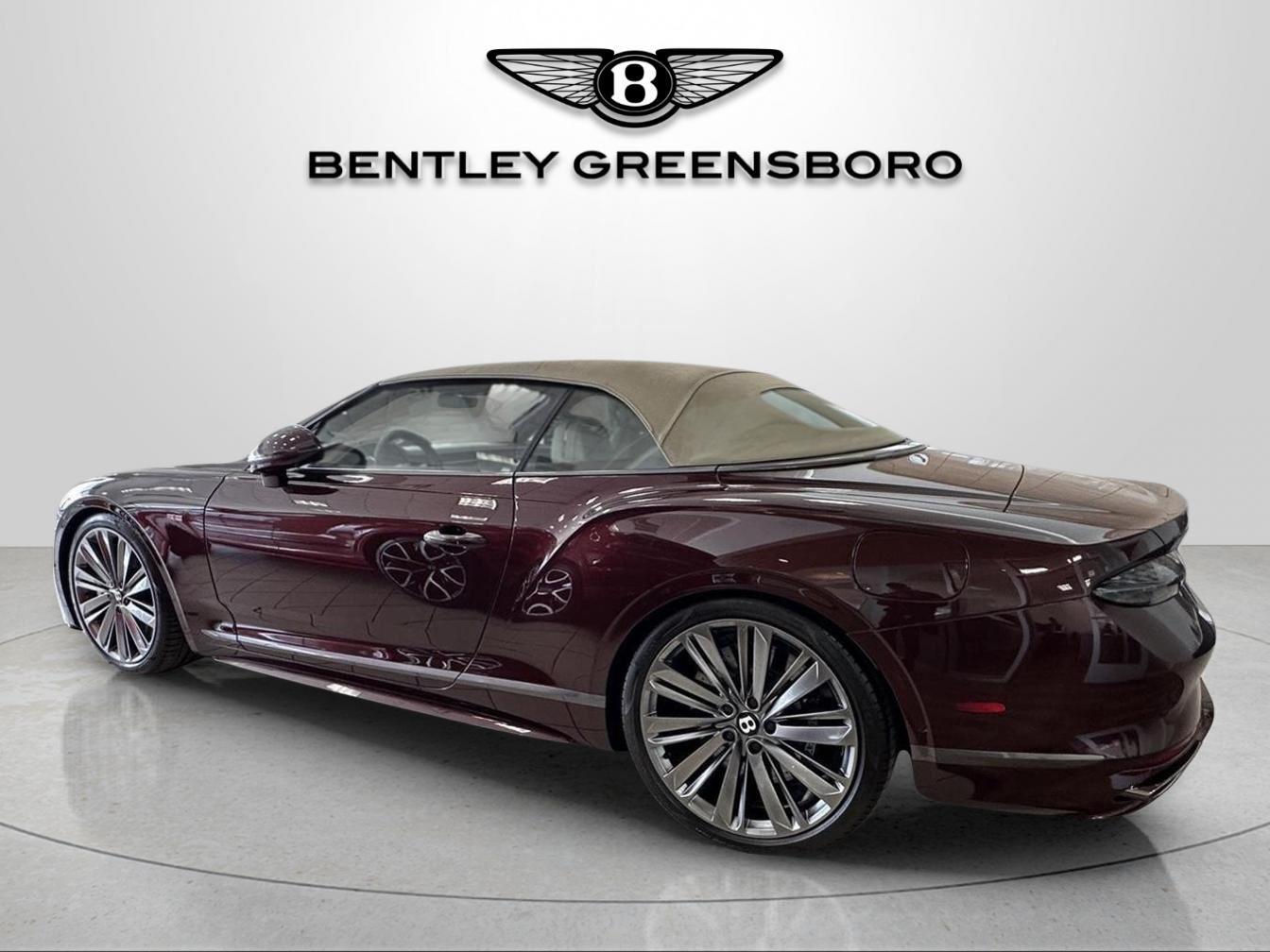 2025 Bentley Continental GTC Speed - Photo 6