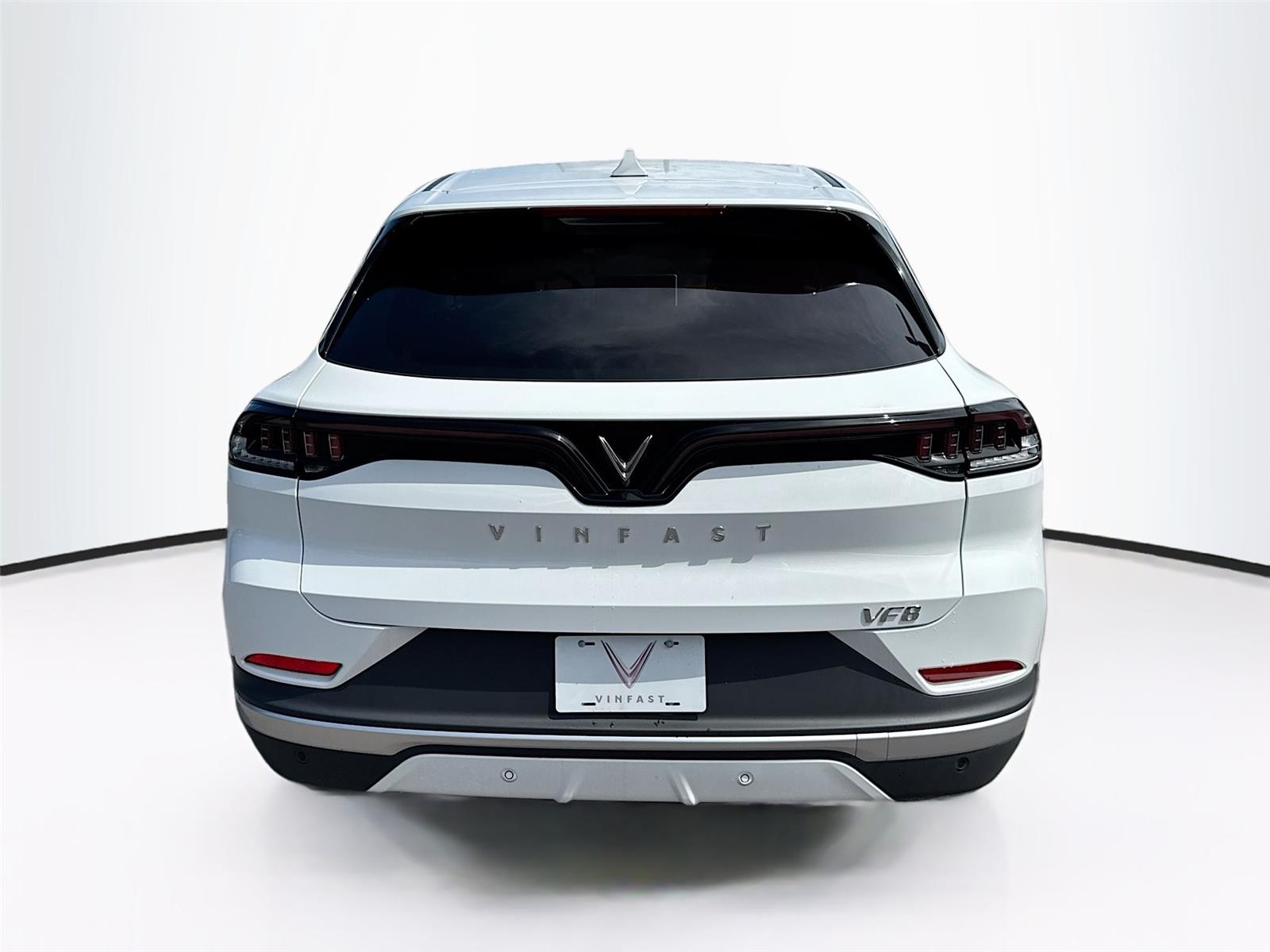 2025 VinFast VF 8 Eco - Photo 6