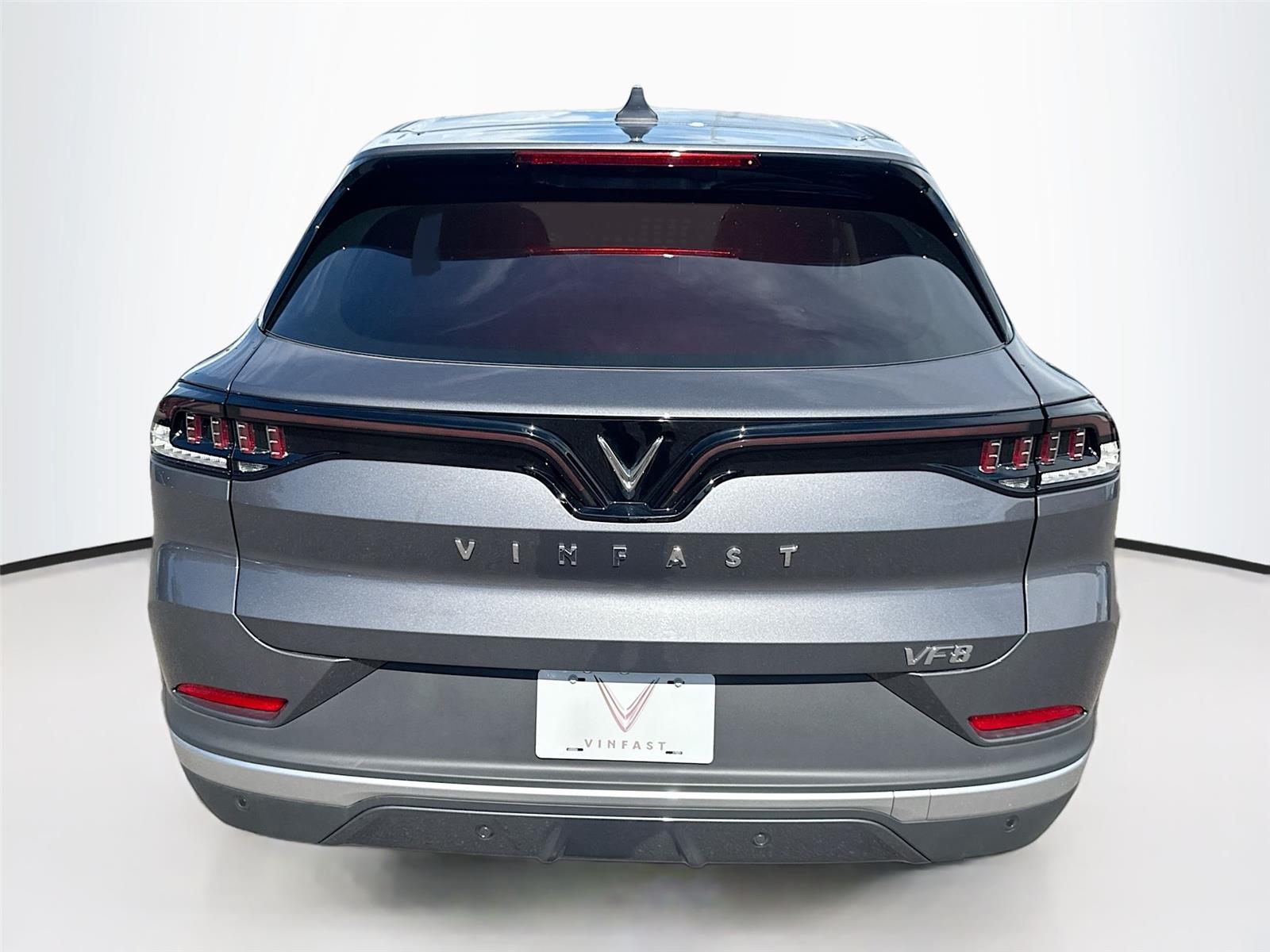 2025 VinFast VF 8 Eco - Photo 6