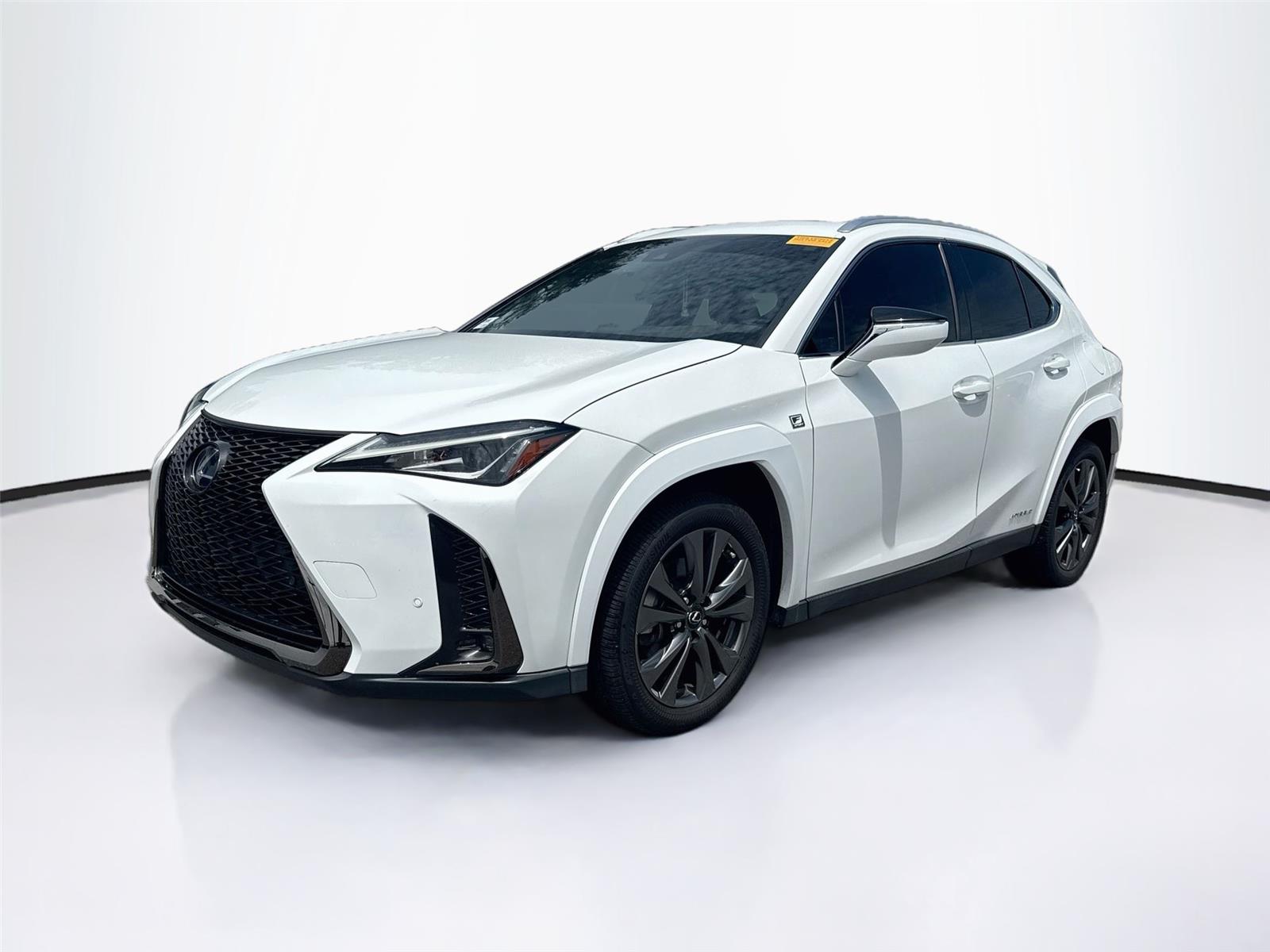 2022 Lexus UX 300h 250h F SPORT AWD's photo