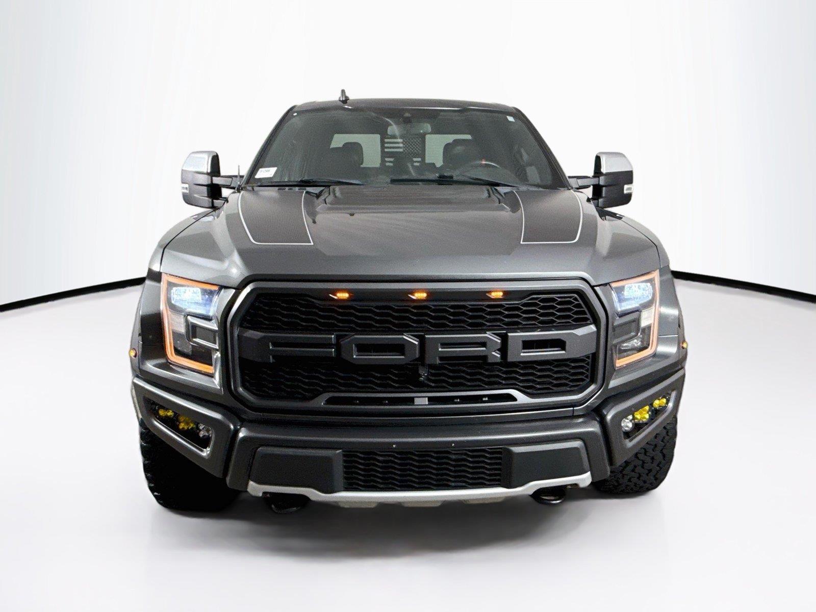 2019 Ford F-150 Raptor - Photo 8