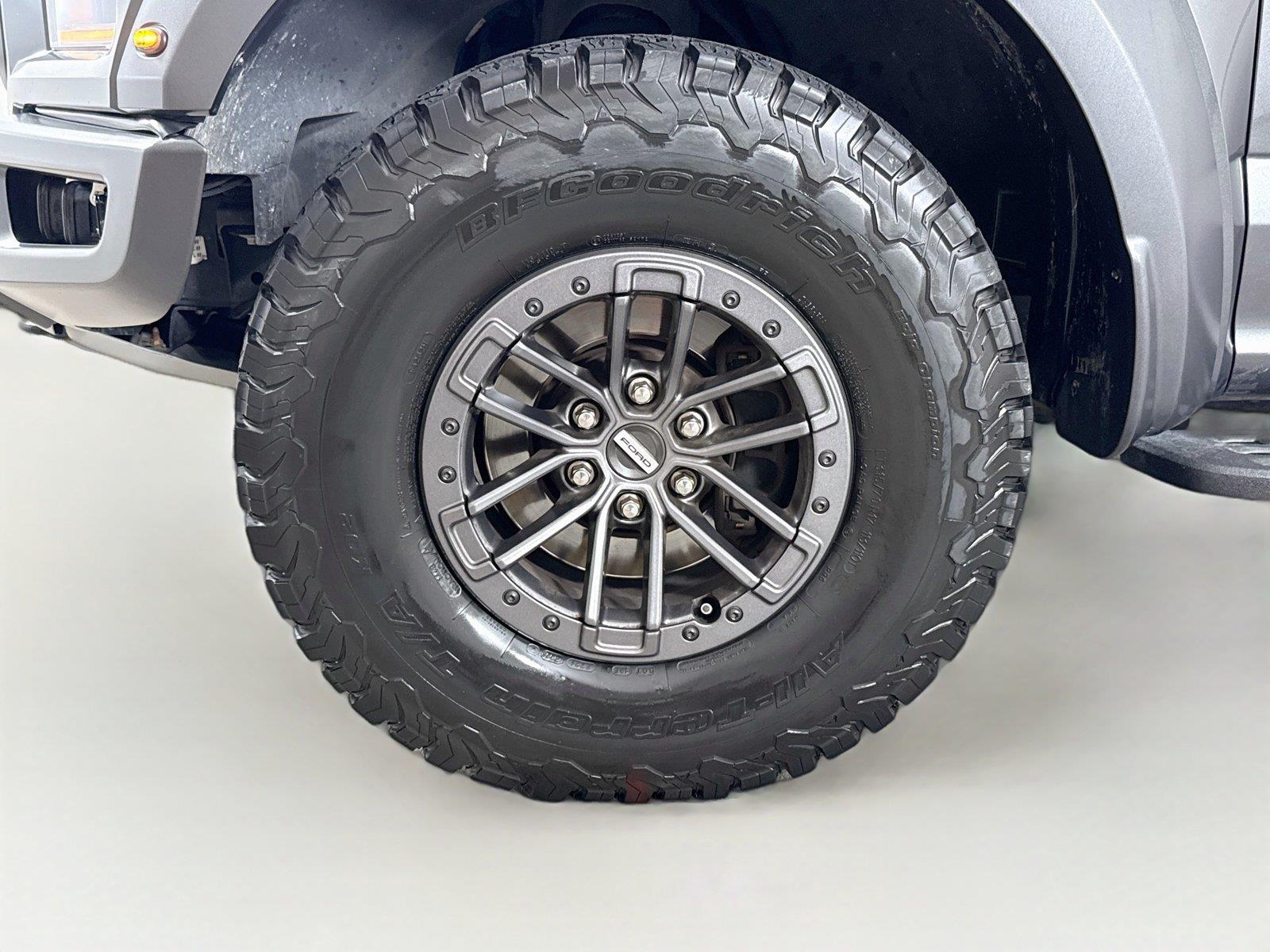 2019 Ford F-150 Raptor - Photo 23