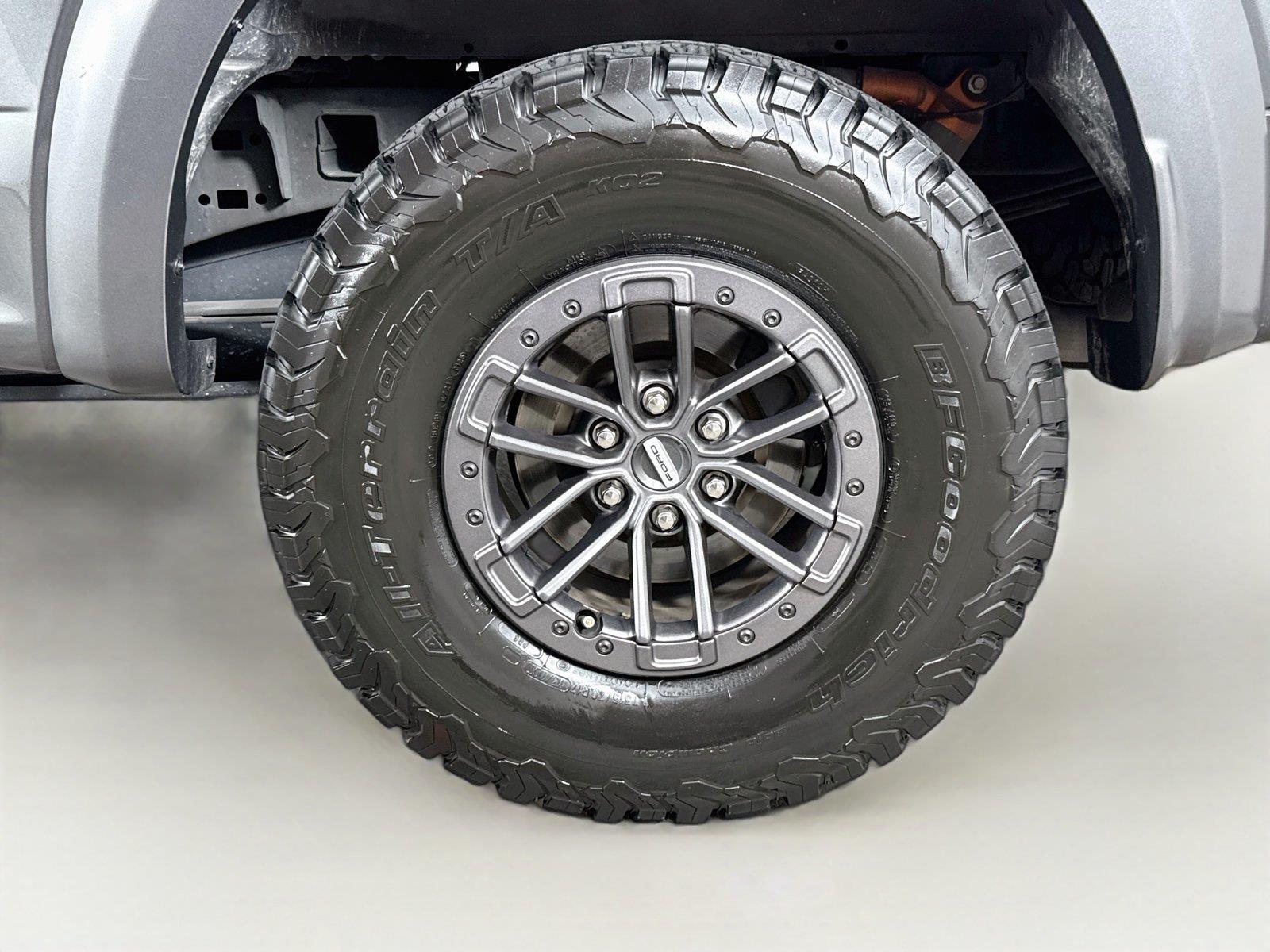 2019 Ford F-150 Raptor - Photo 24