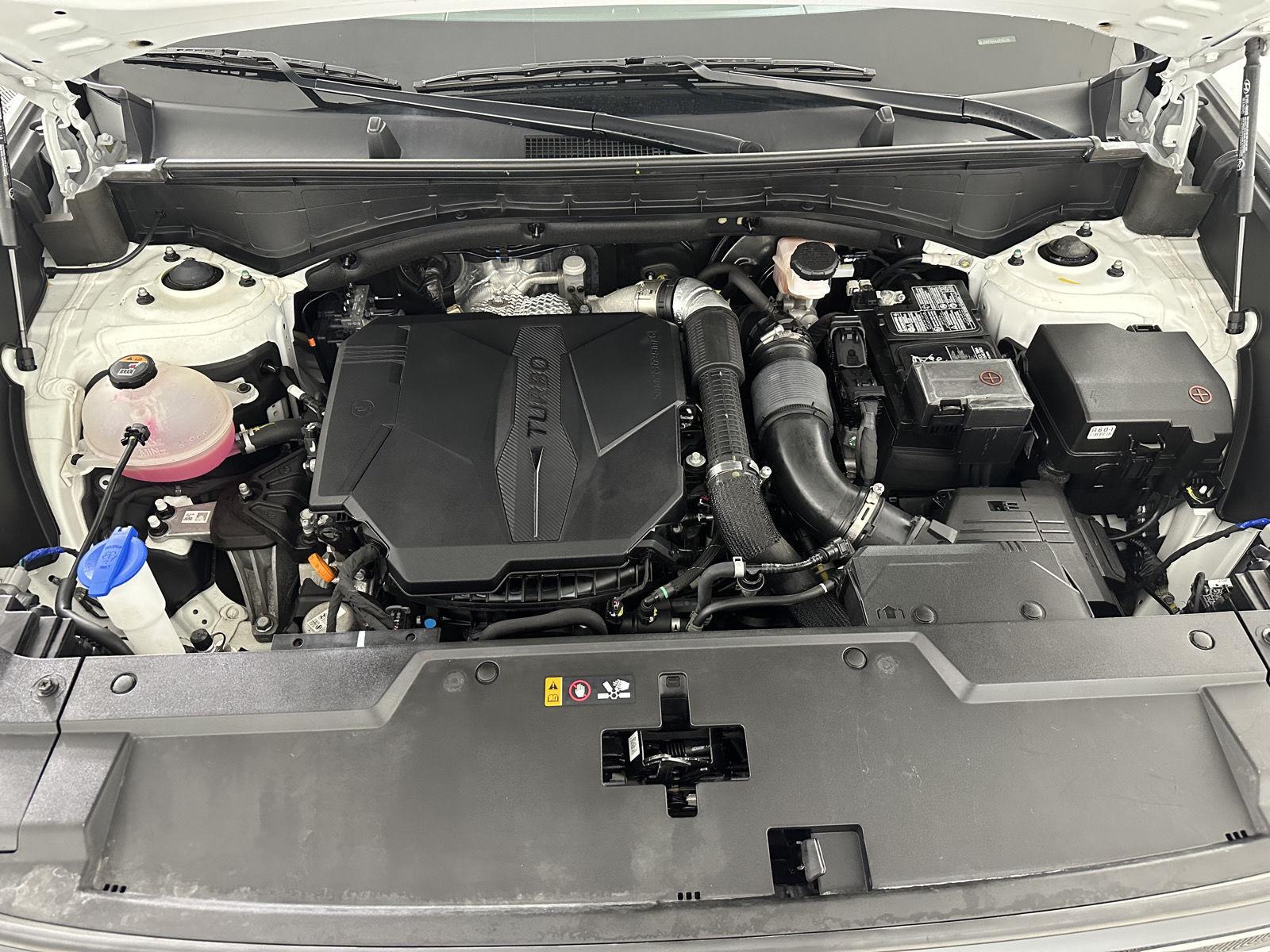 Used 2024 Serenity White Hyundai Limited image 24