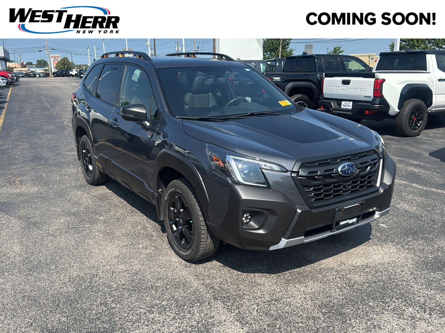 2023 Subaru Forester Wilderness Crossover AWD