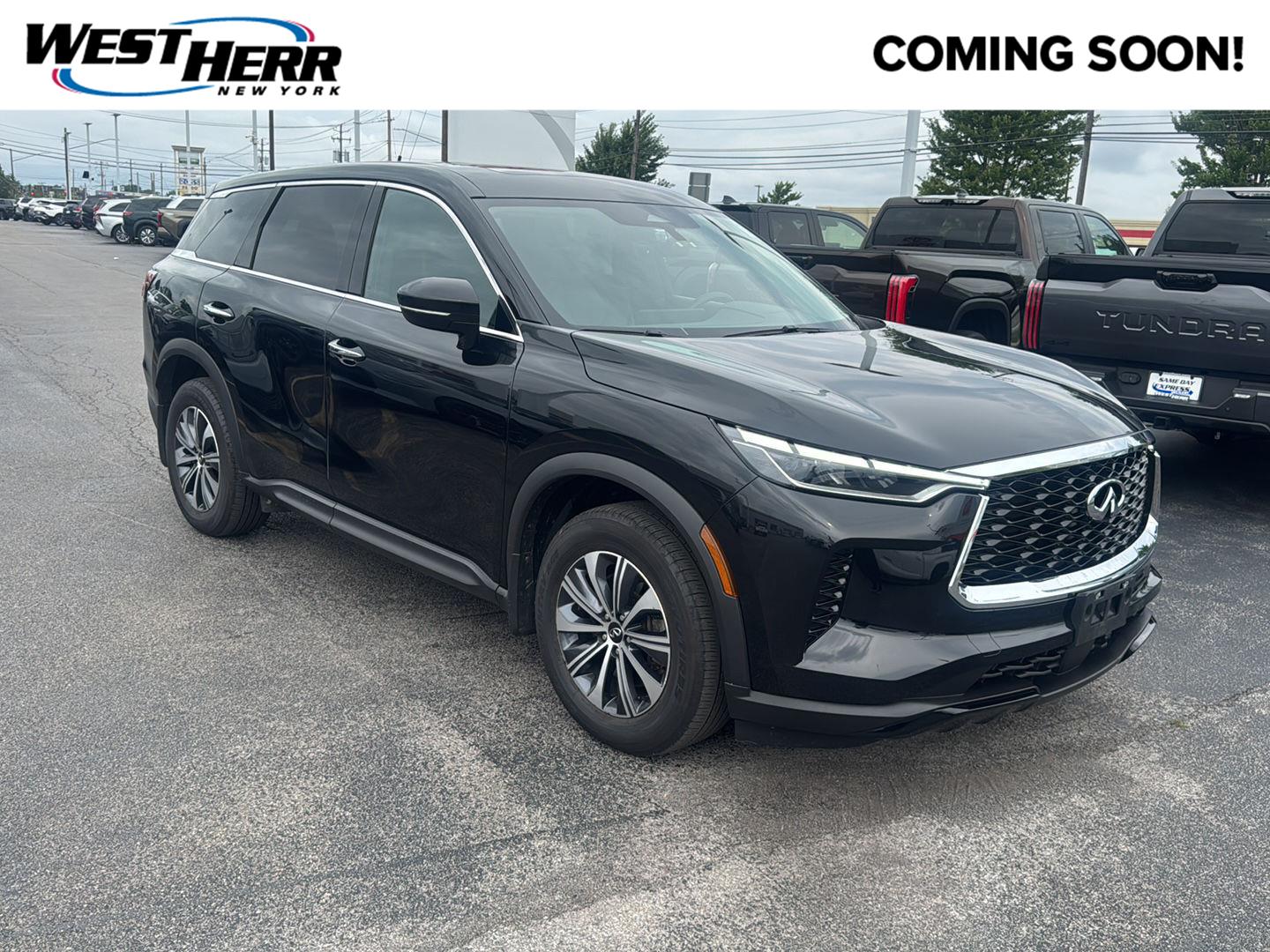 2023 INFINITI QX60 Pure AWD