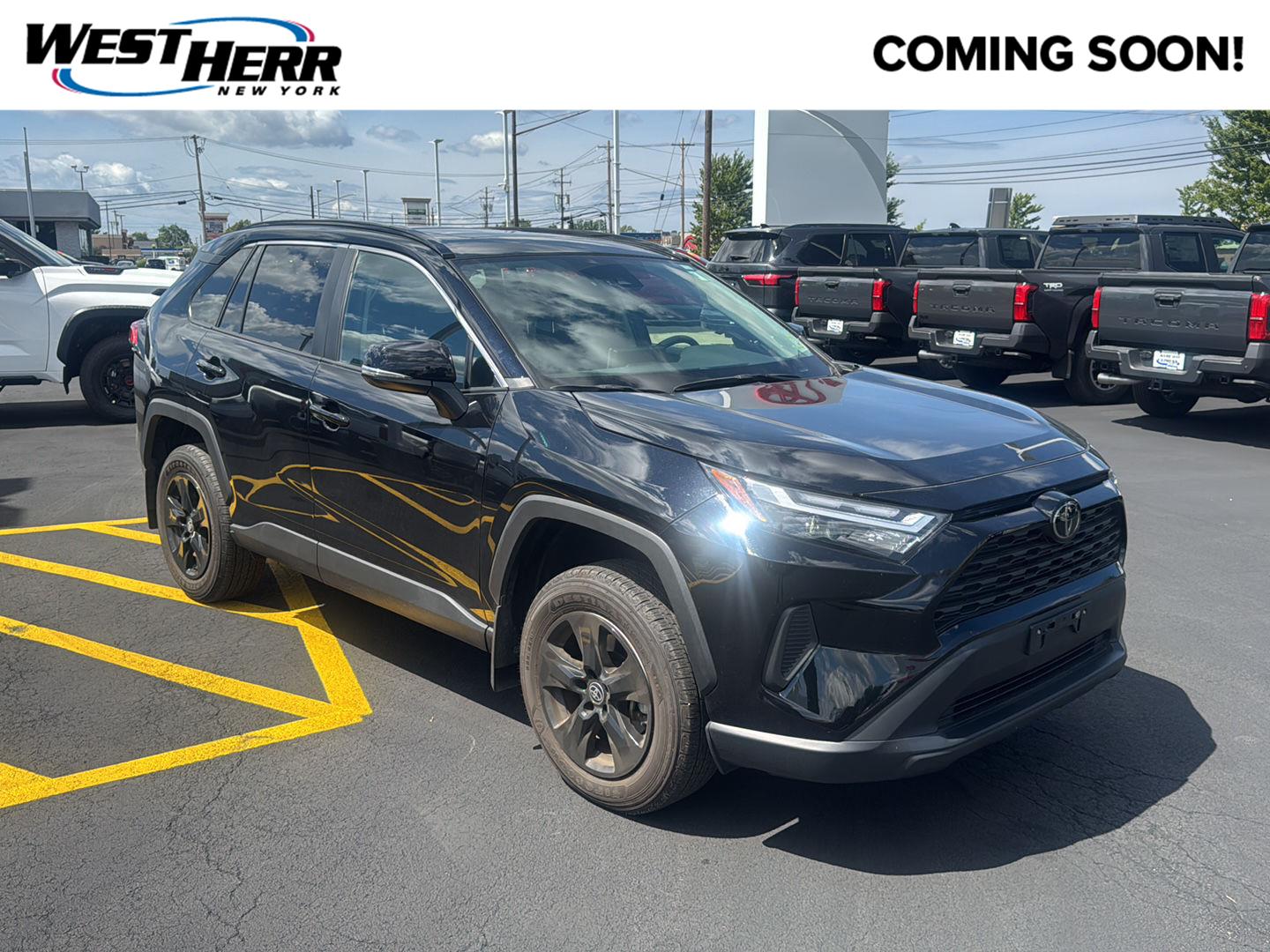 Midnight Black Metallic 2025 Toyota RAV4 SUV / Crossover All-Wheel Drive Automatic