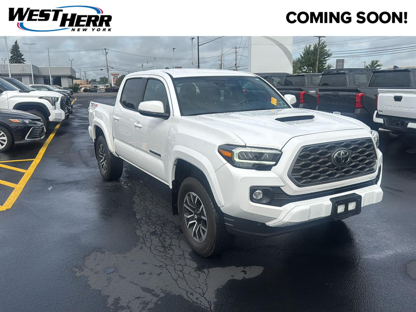 Ice Cap 2023 Toyota Tacoma Pickup Truck Four-Wheel Drive Automatic