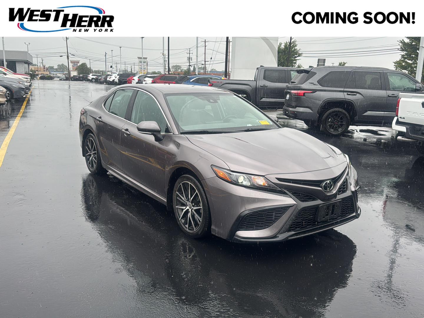 Predawn Gray Mica 2024 Toyota Camry Sedan All-Wheel Drive Automatic