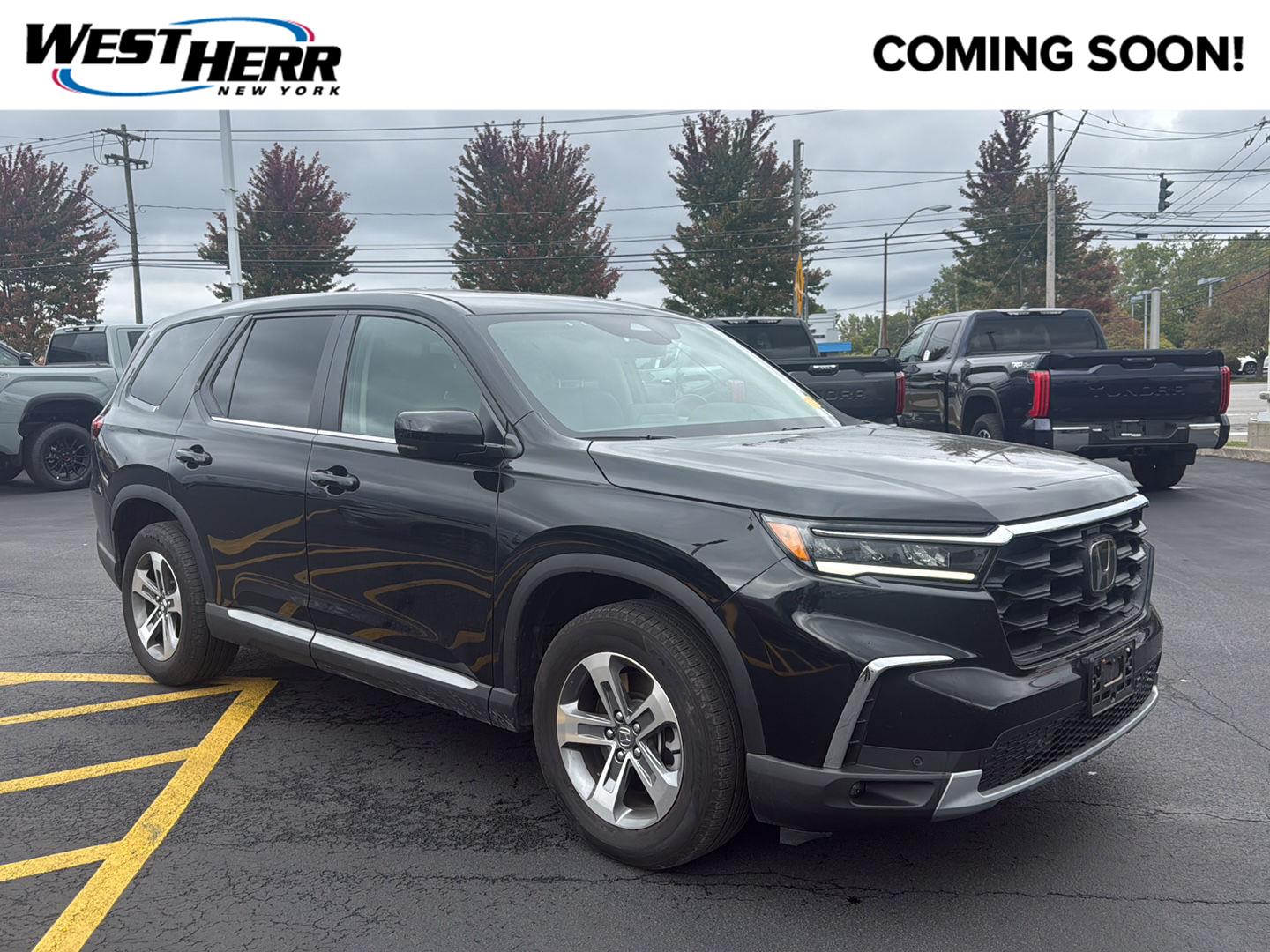 Pre-Owned 2025 Honda Pilot EX-L Sport Utility in #HL26Z432 | West