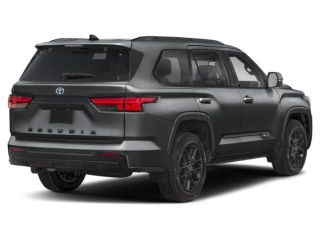 New 2026 Magnetic Gray Metallic Toyota Platinum image 11