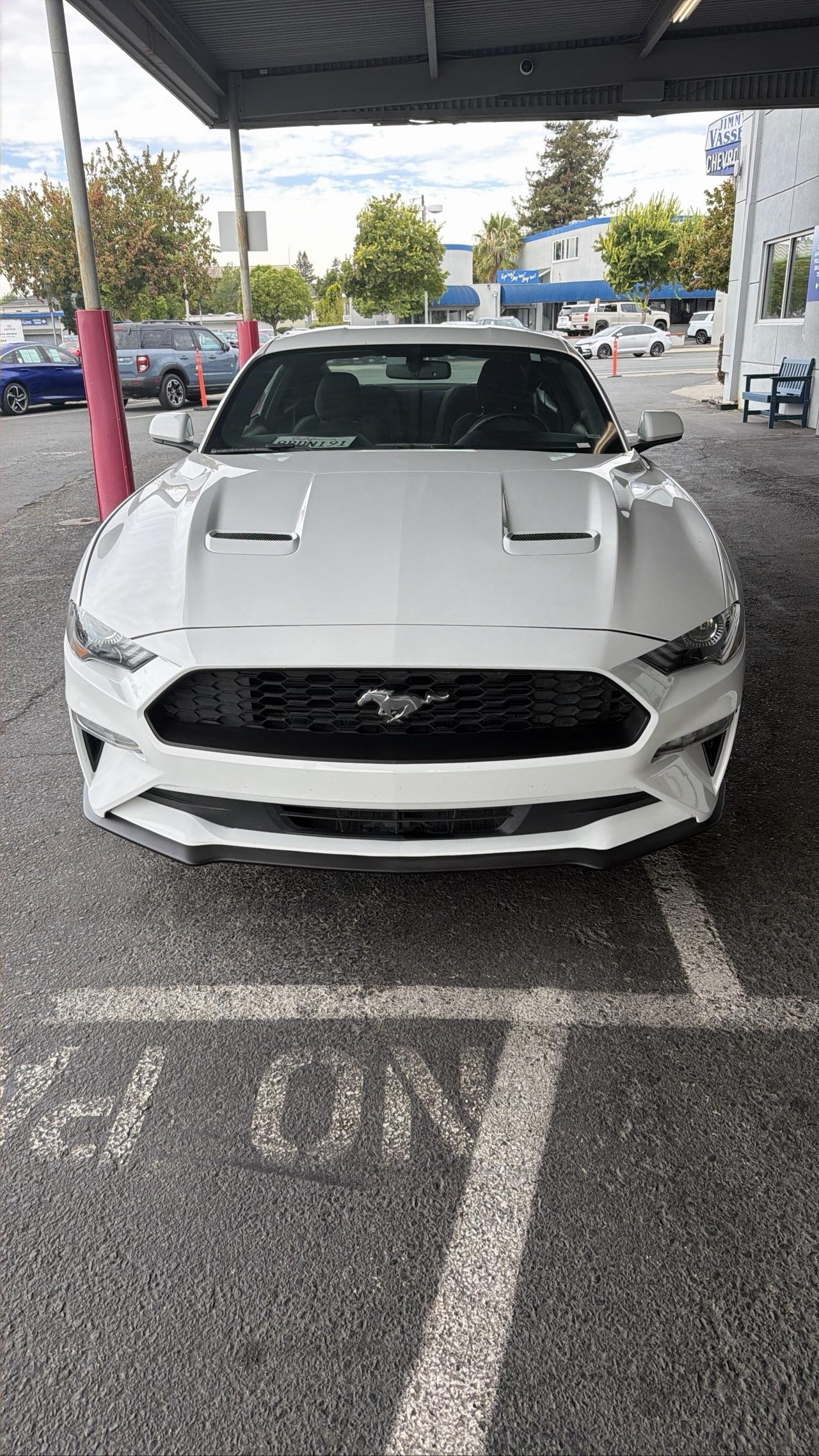 2019 Ford Mustang EcoBoost Coupe RWD