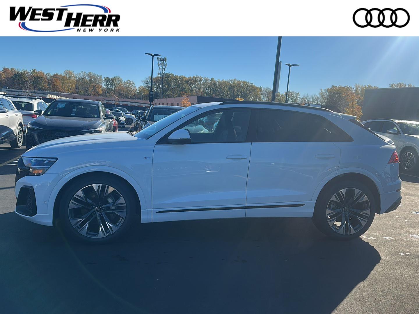 Glacier White Metallic 2027 Audi Q8 SUV / Crossover All-Wheel Drive Automatic