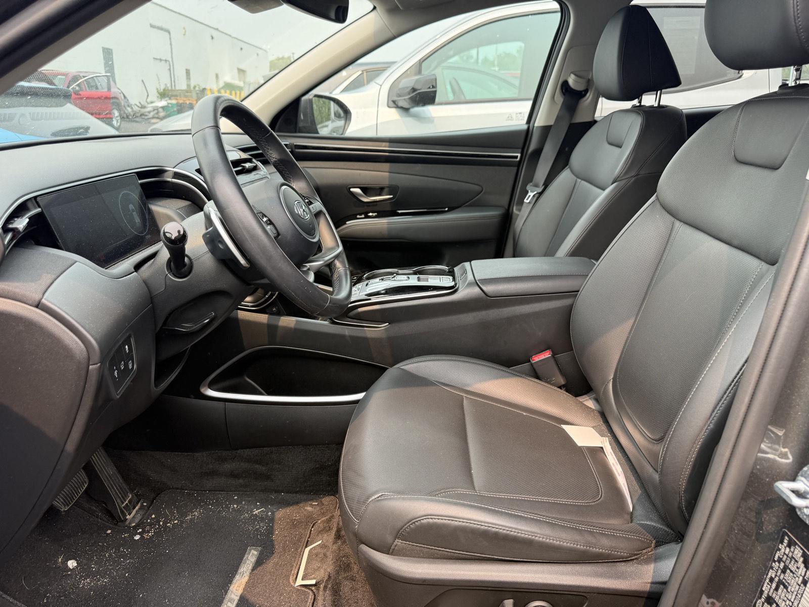 Used 2024 Amazon Gray Hyundai SEL Convenience image 9