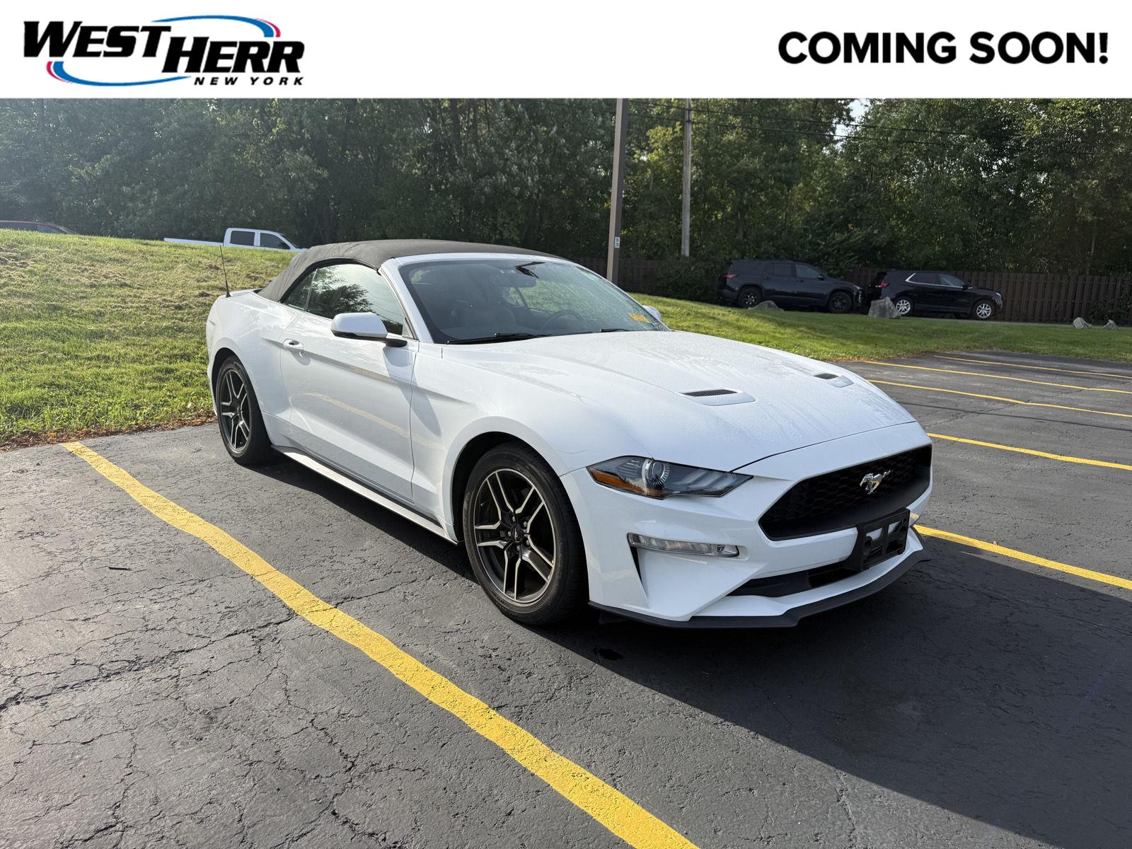 Oxford White 2019 Ford Mustang Convertible Rear-Wheel Drive Automatic