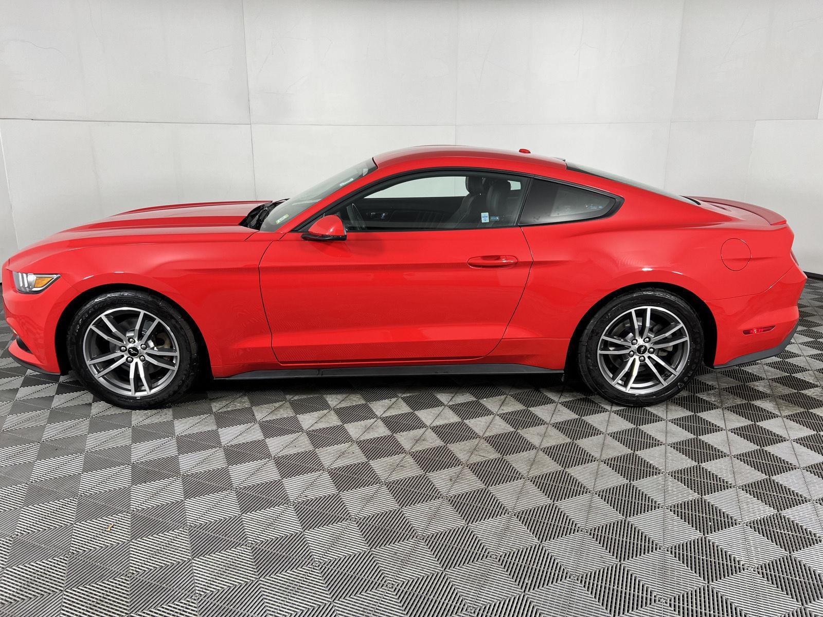 Used 2015 Race Red Ford EcoBoost Premium image 4