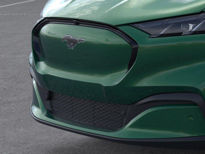 New 2026 Eruption Green Metallic Ford Premium image 17