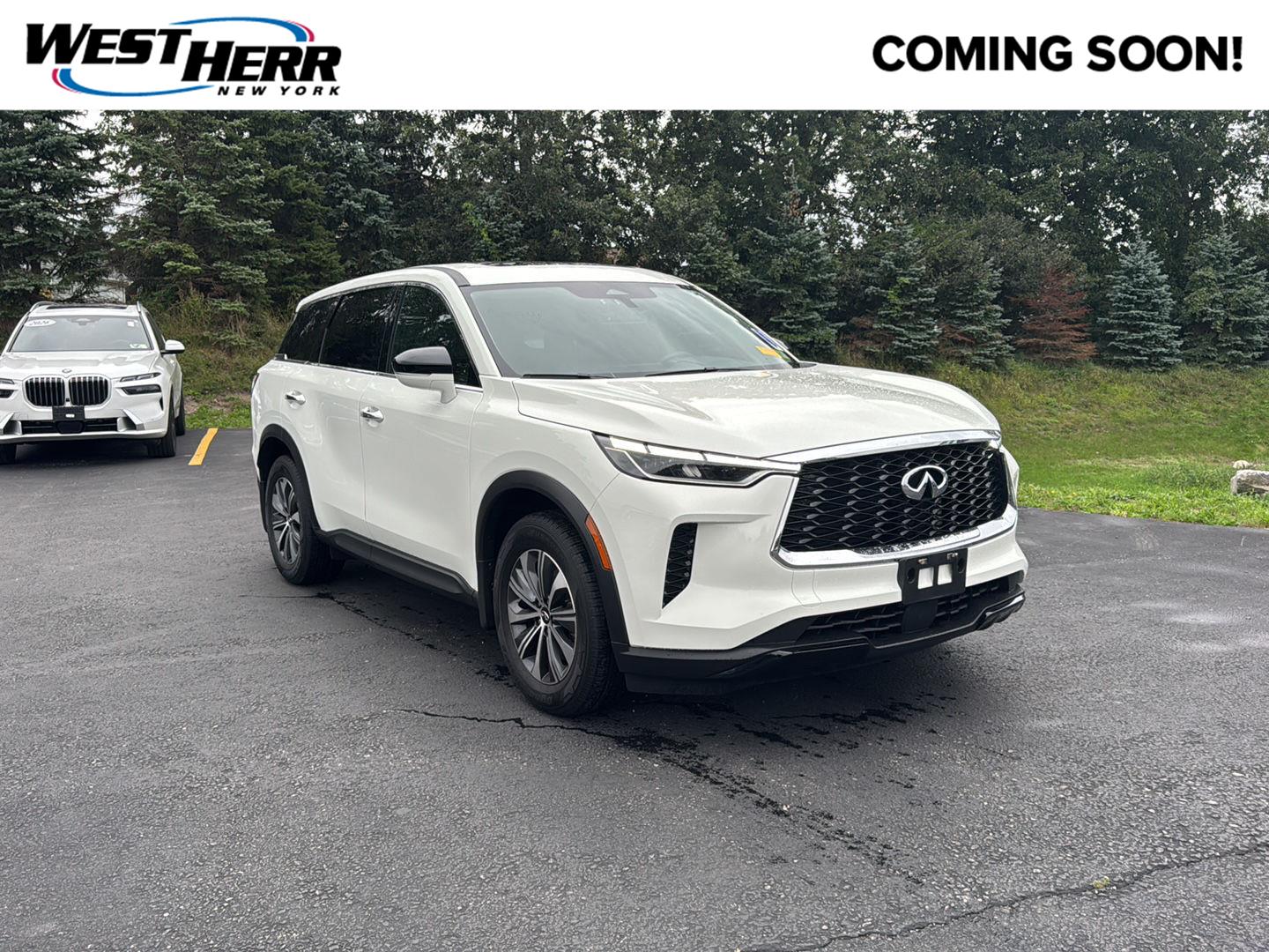 2024 INFINITI QX60 PURE