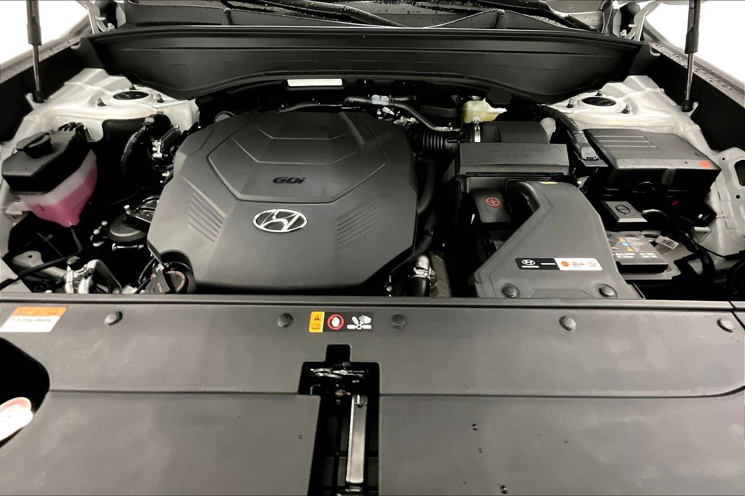 2026 Hyundai Palisade Calligraphy photo 13