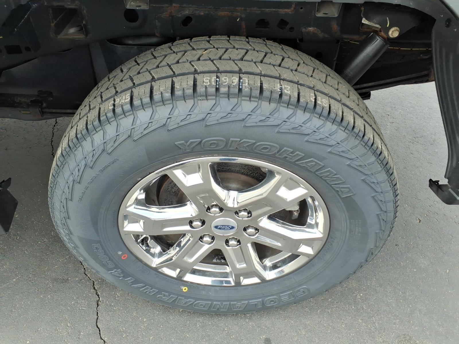2023 Ford F-150 XLT:6448