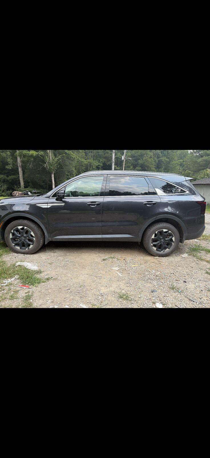 Panthera Metal 2025 Kia Sorento SUV / Crossover All-Wheel Drive 8-Speed Automatic