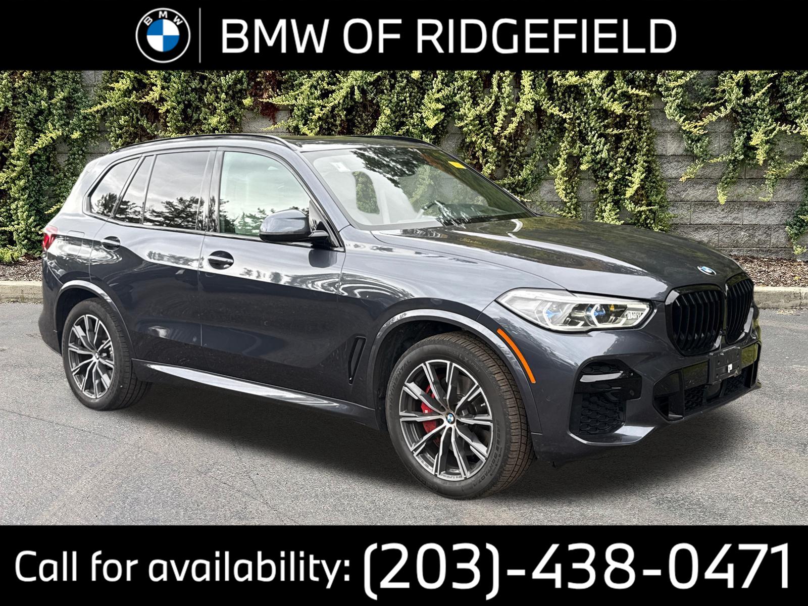 Gray (Arctic Grey Metallic) 2022 BMW X5 SUV / Crossover All-Wheel Drive Automatic