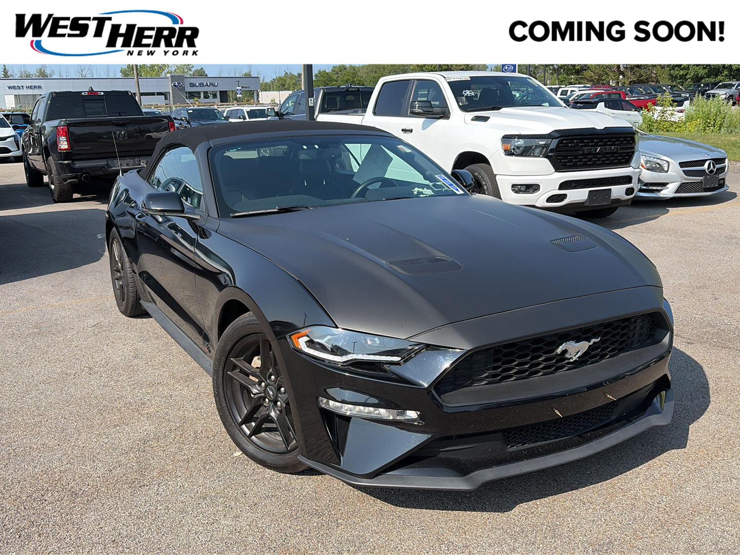 Shadow Black 2020 Ford Mustang Convertible Rear-Wheel Drive Automatic