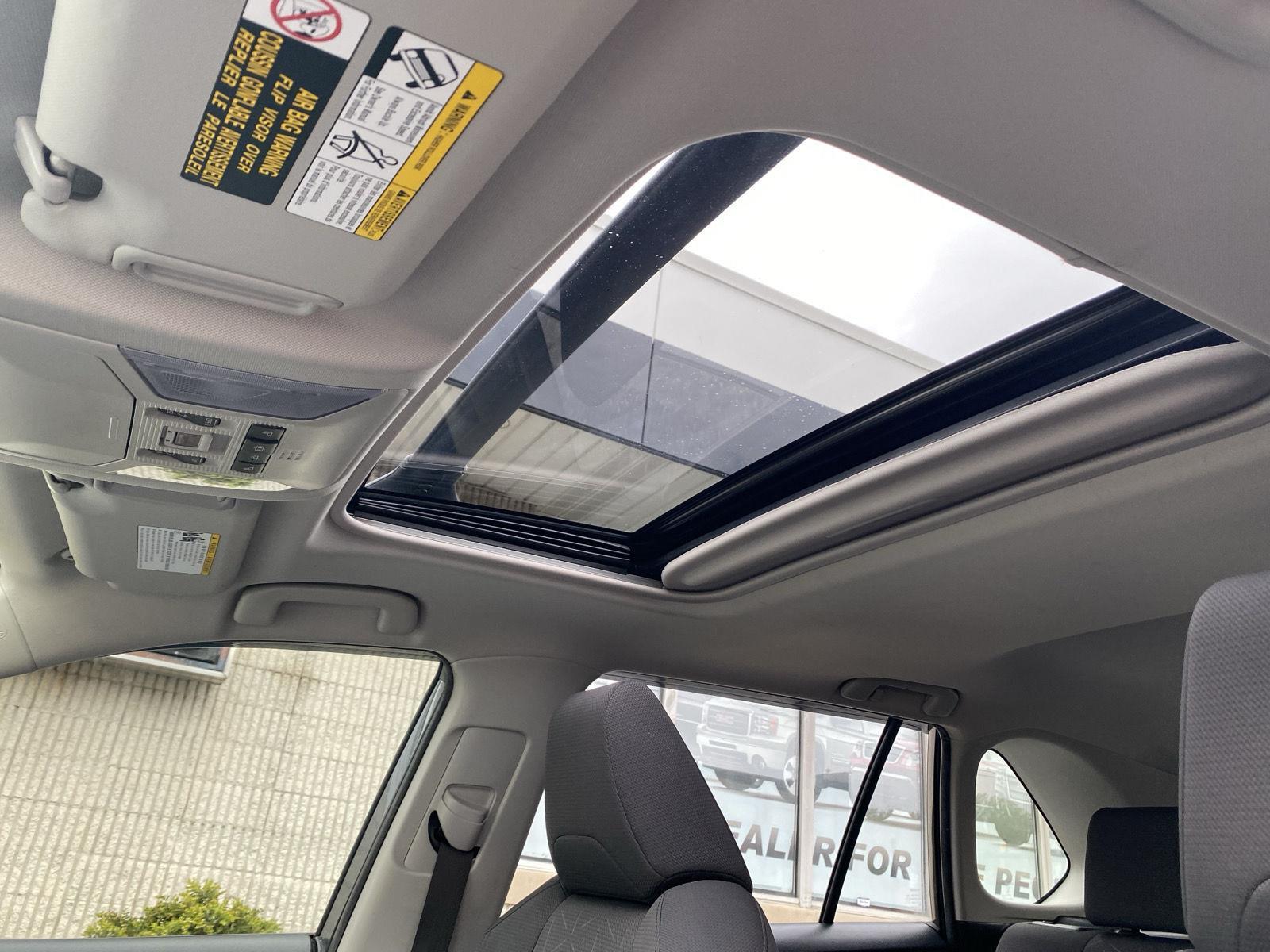 2019 Toyota RAV4 XLE at Diehl Automotive