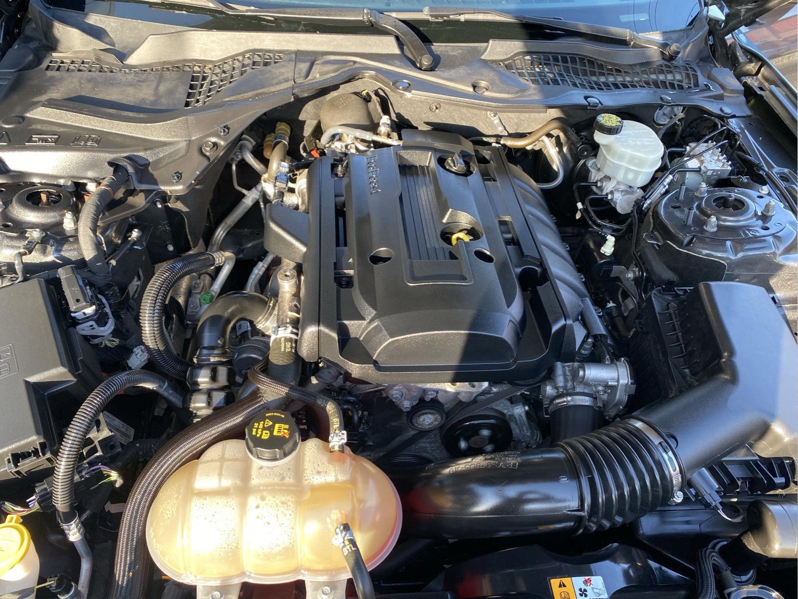 2018 Ford Mustang EcoBoost at Lake View Ford