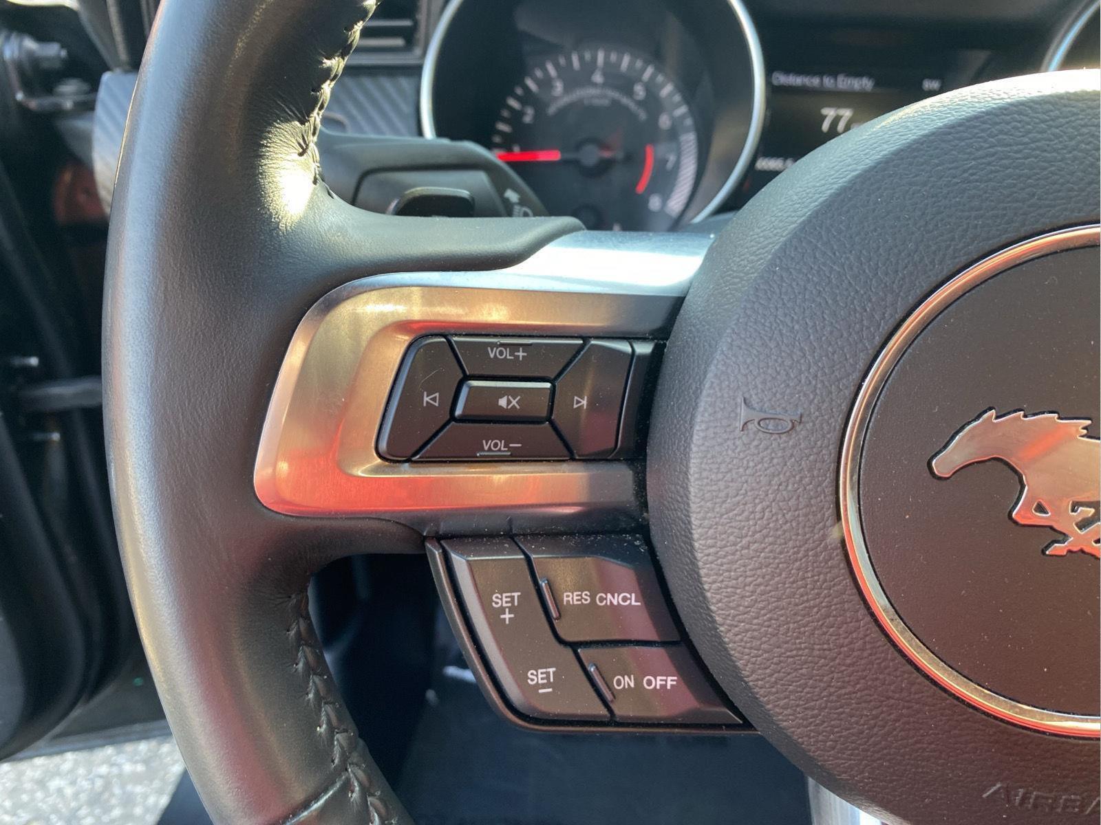 2018 Ford Mustang EcoBoost at Lake View Ford