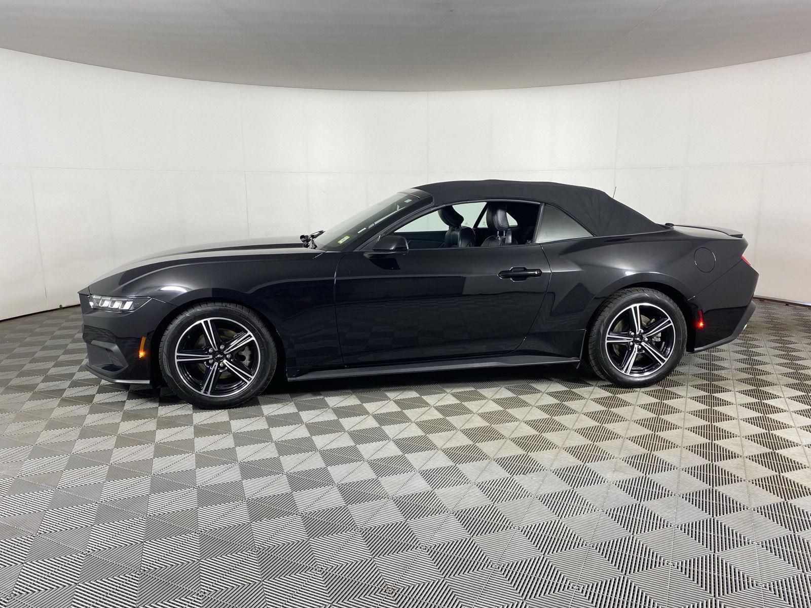 Used 2024 Shadow Black Ford EcoBoost Premium image 4