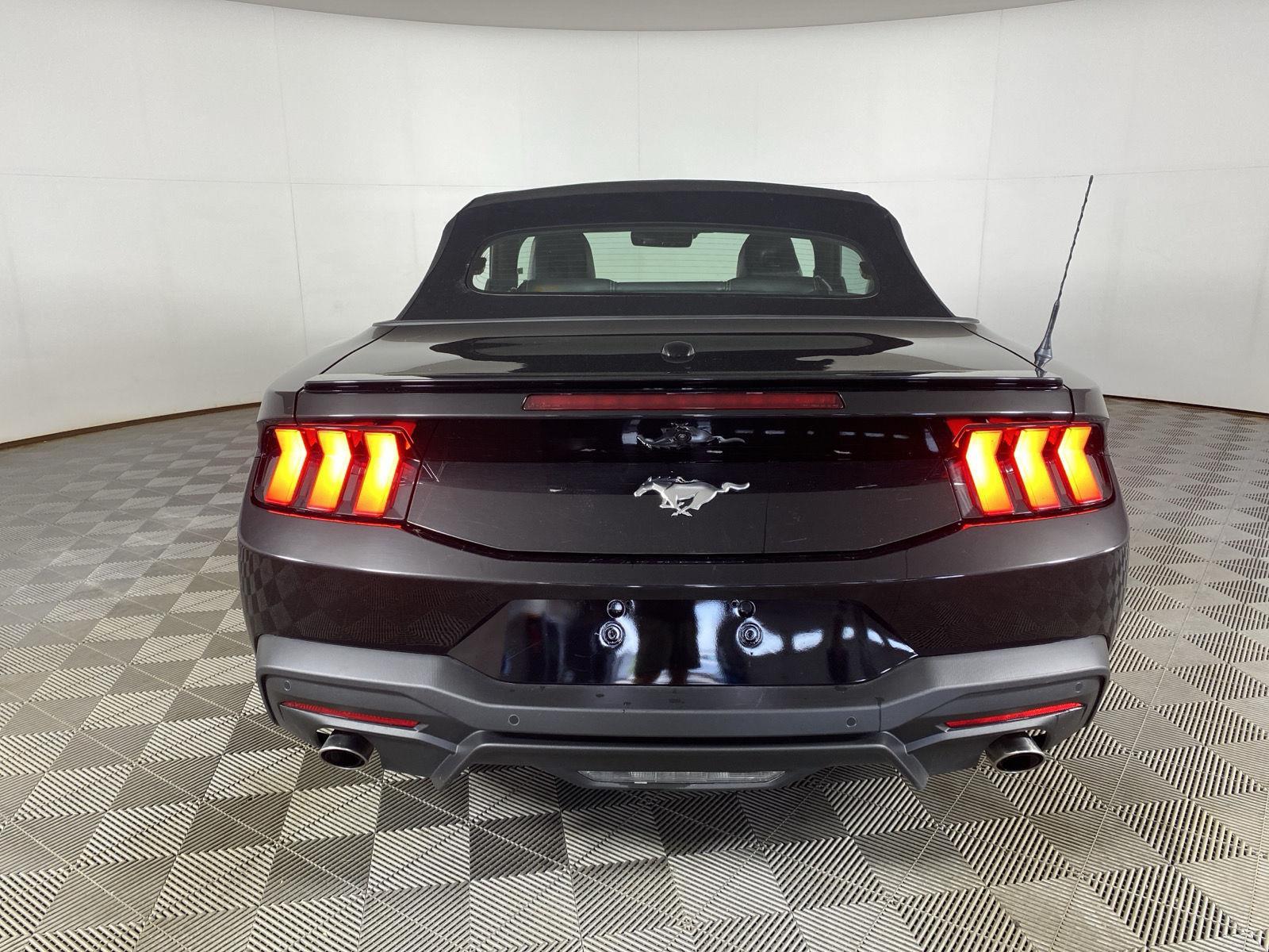 Used 2024 Shadow Black Ford EcoBoost Premium image 6