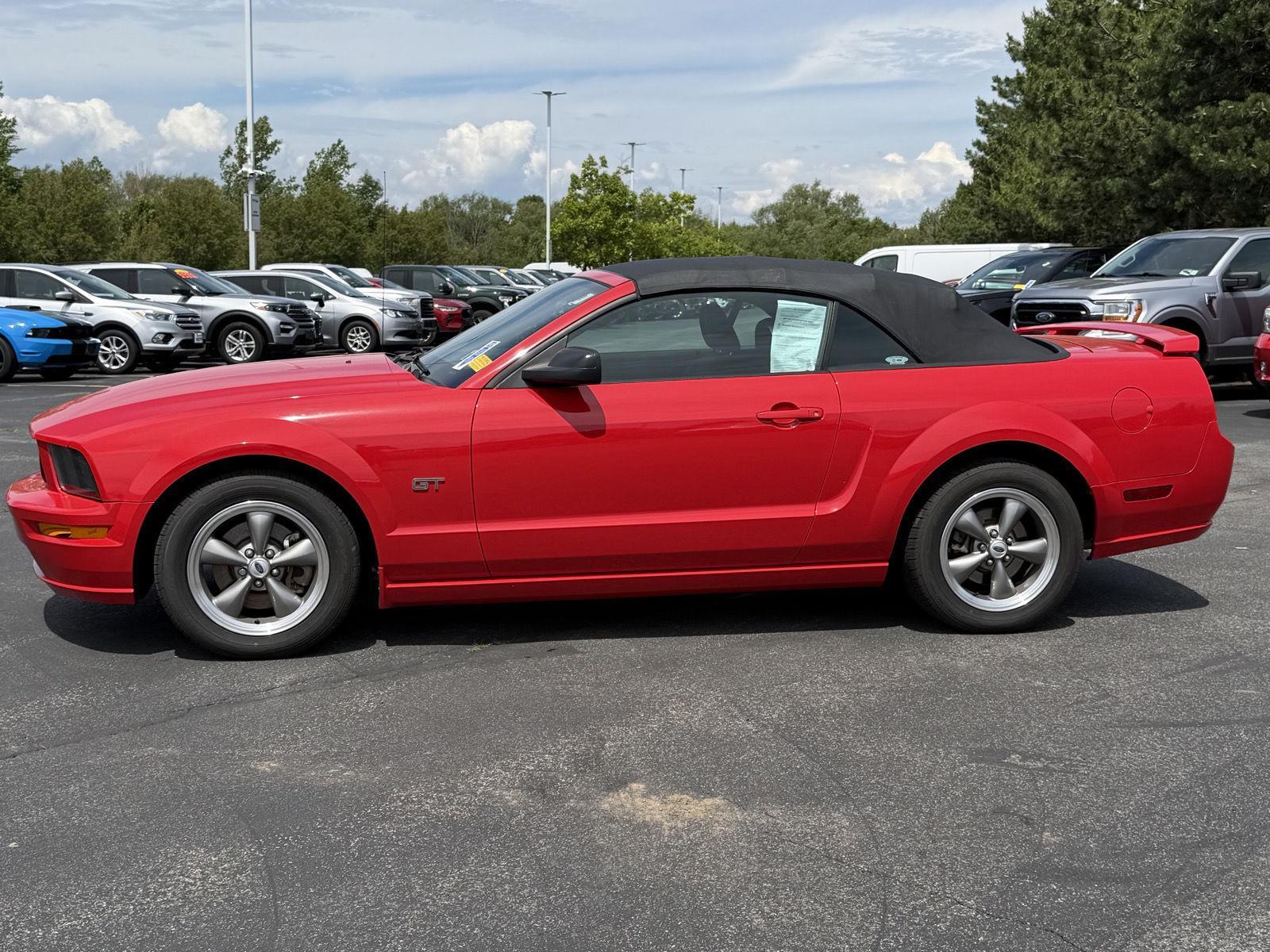 Used 2006  Ford GT Deluxe image 4