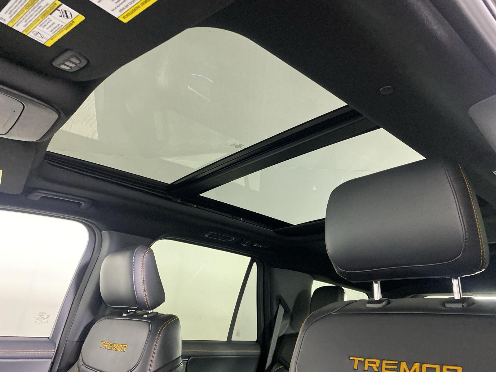 New 2025 Agate Black Ford Tremor image 22