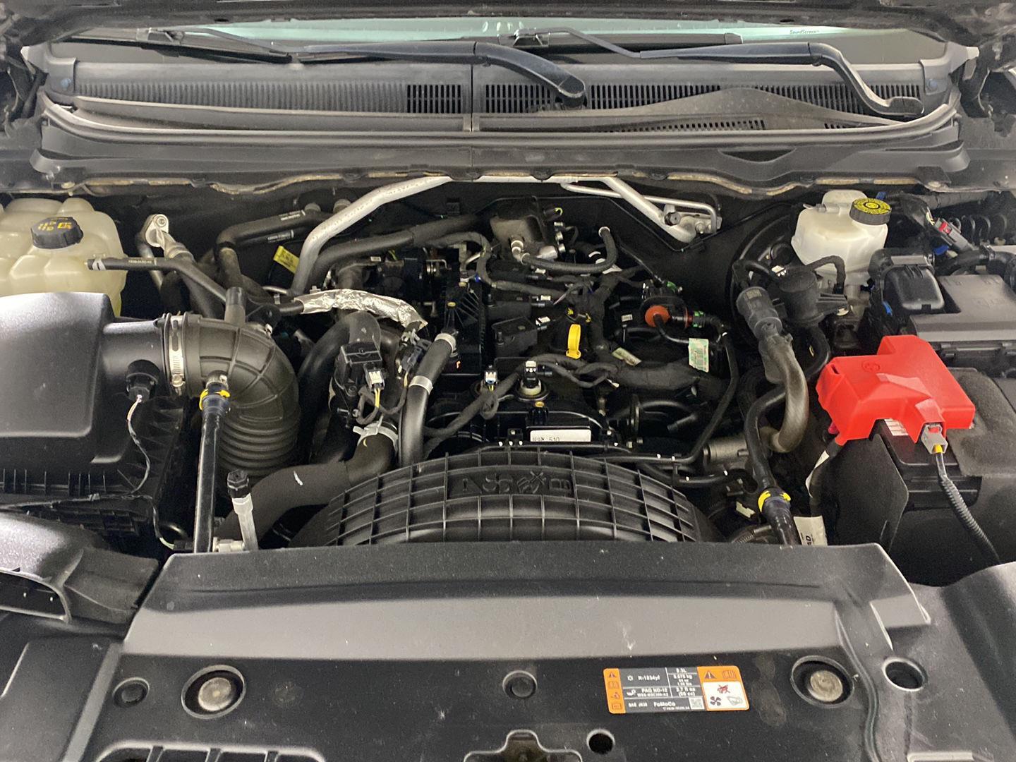 Used 2019 Magnetic Ford XLT image 20