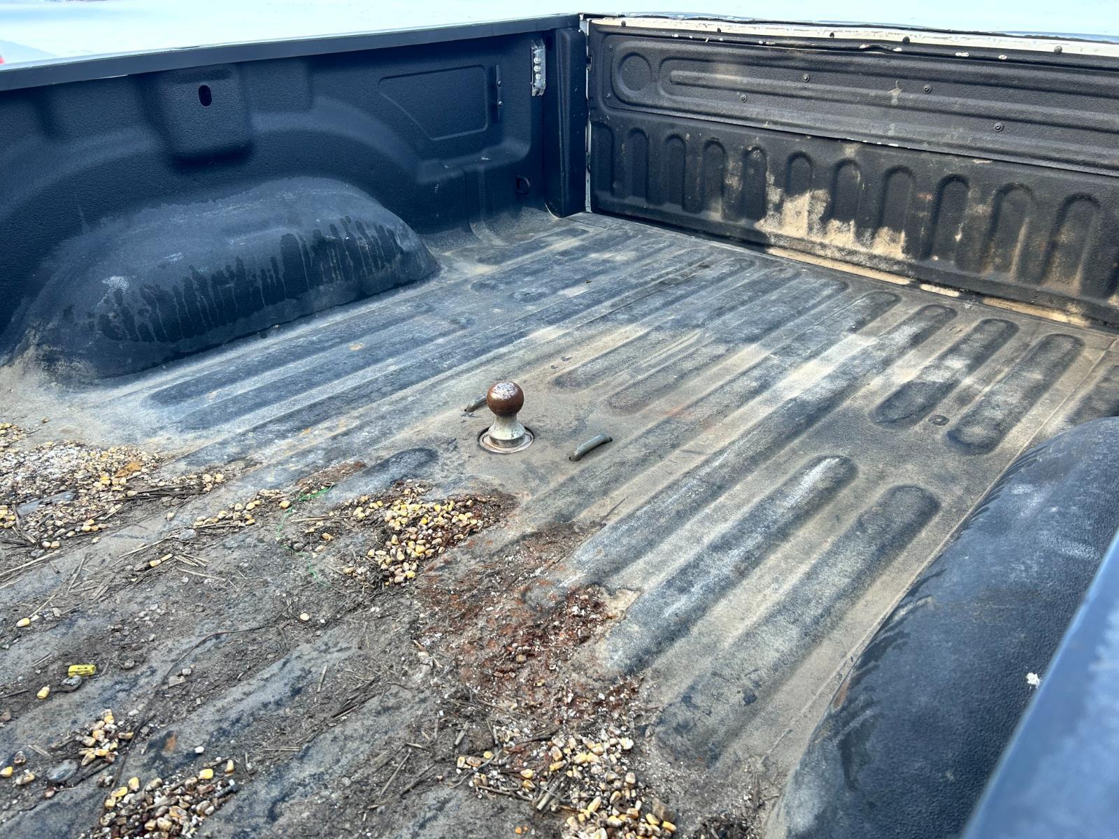 Used 2022 WHITE RAM  image 11