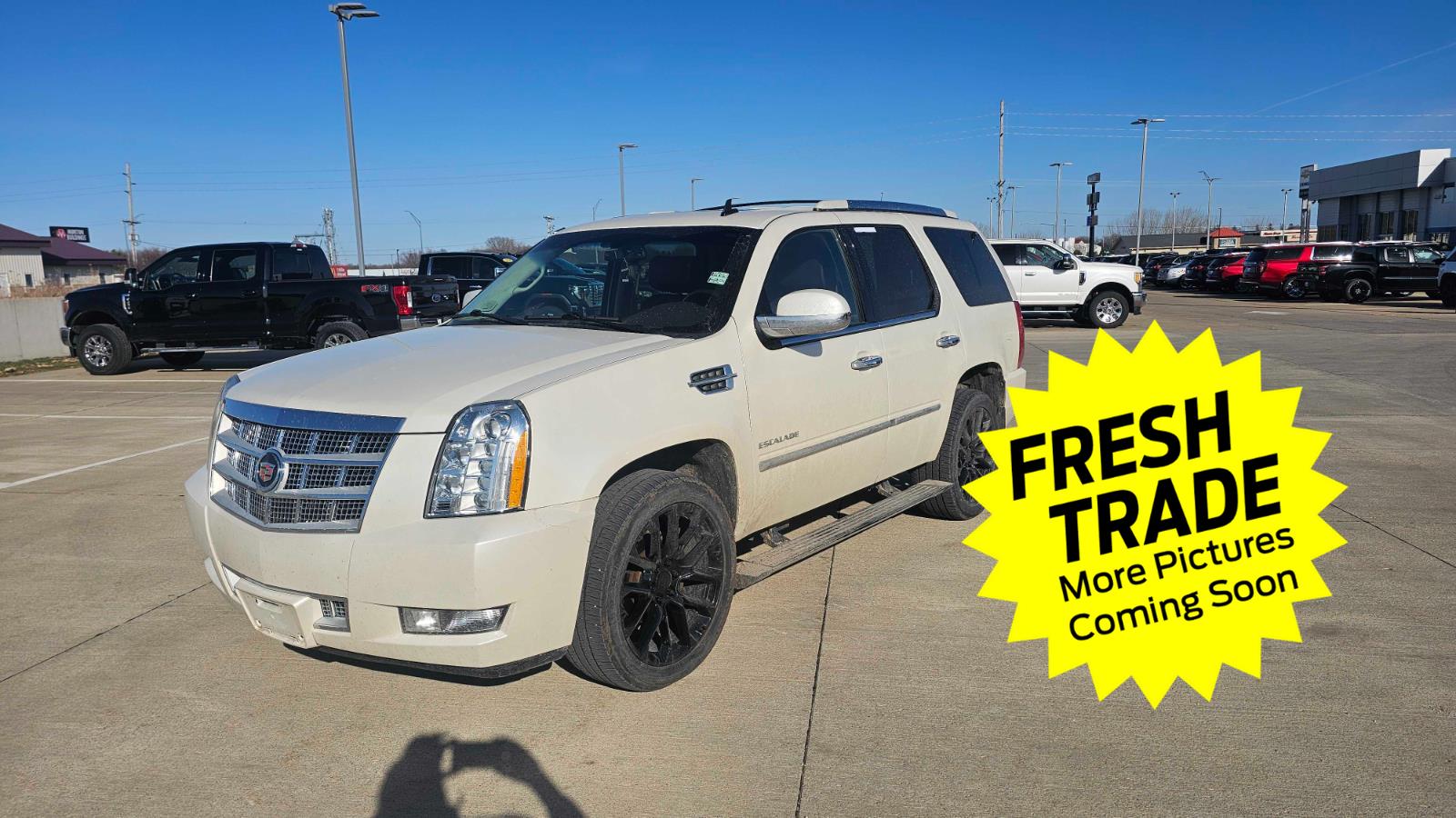 2014 Cadillac Escalade Platinum 4WD