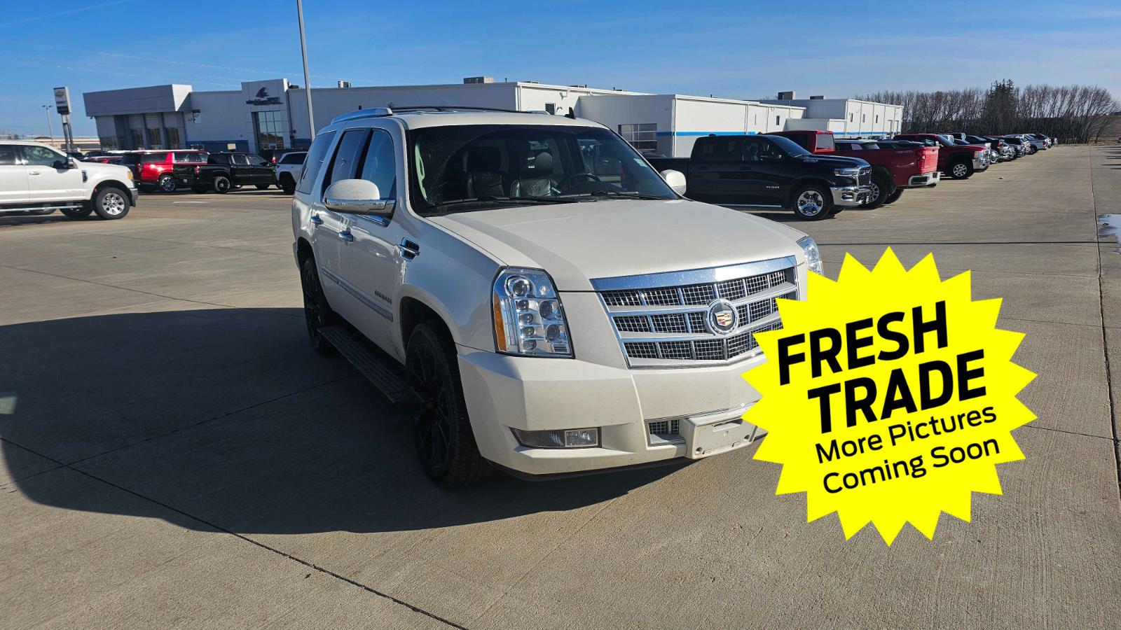 Used 2014 White Diamond Tricoat Cadillac Platinum image 3